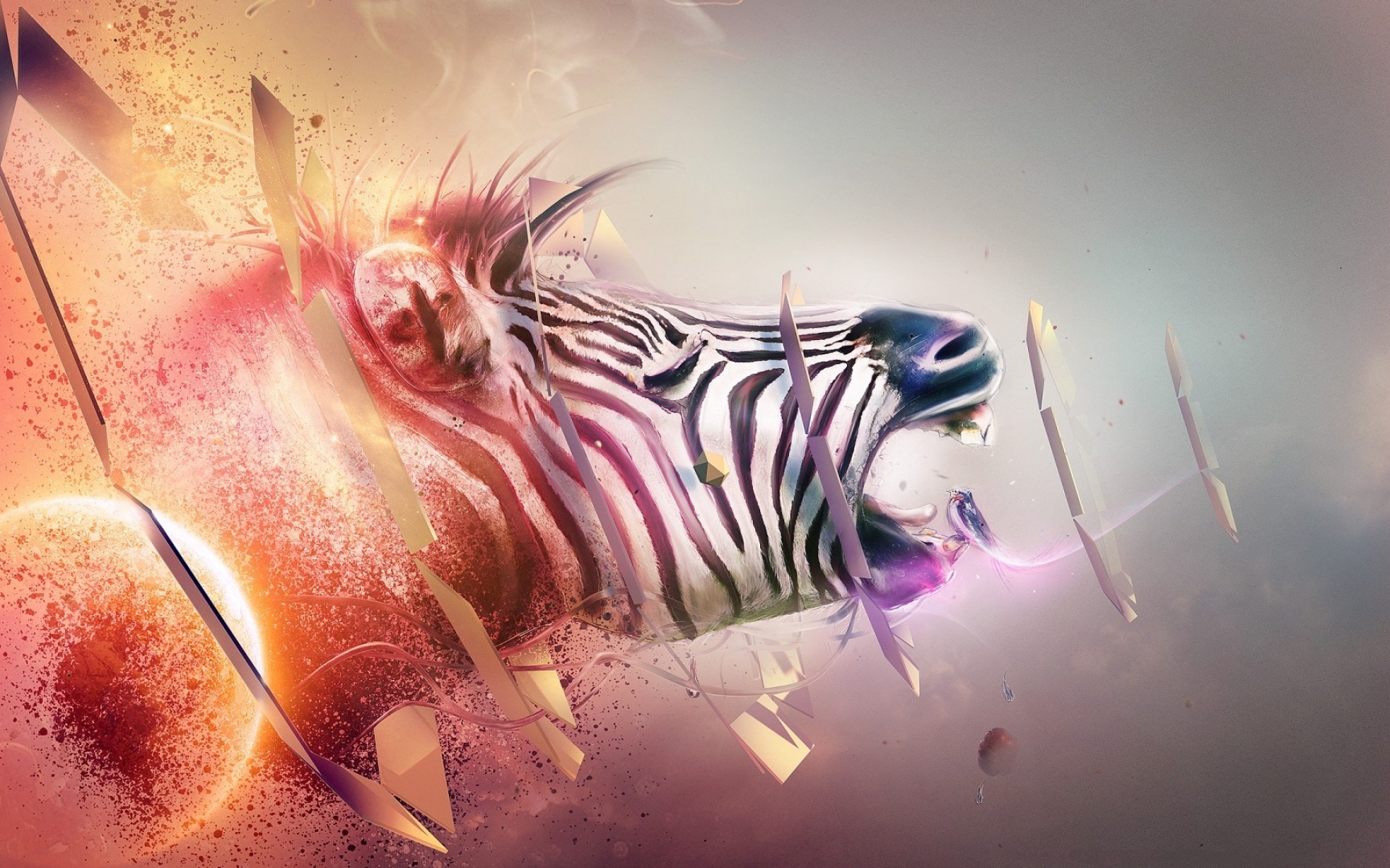 Baixe gratuitamente a imagem Animais, Zebra na área de trabalho do seu PC