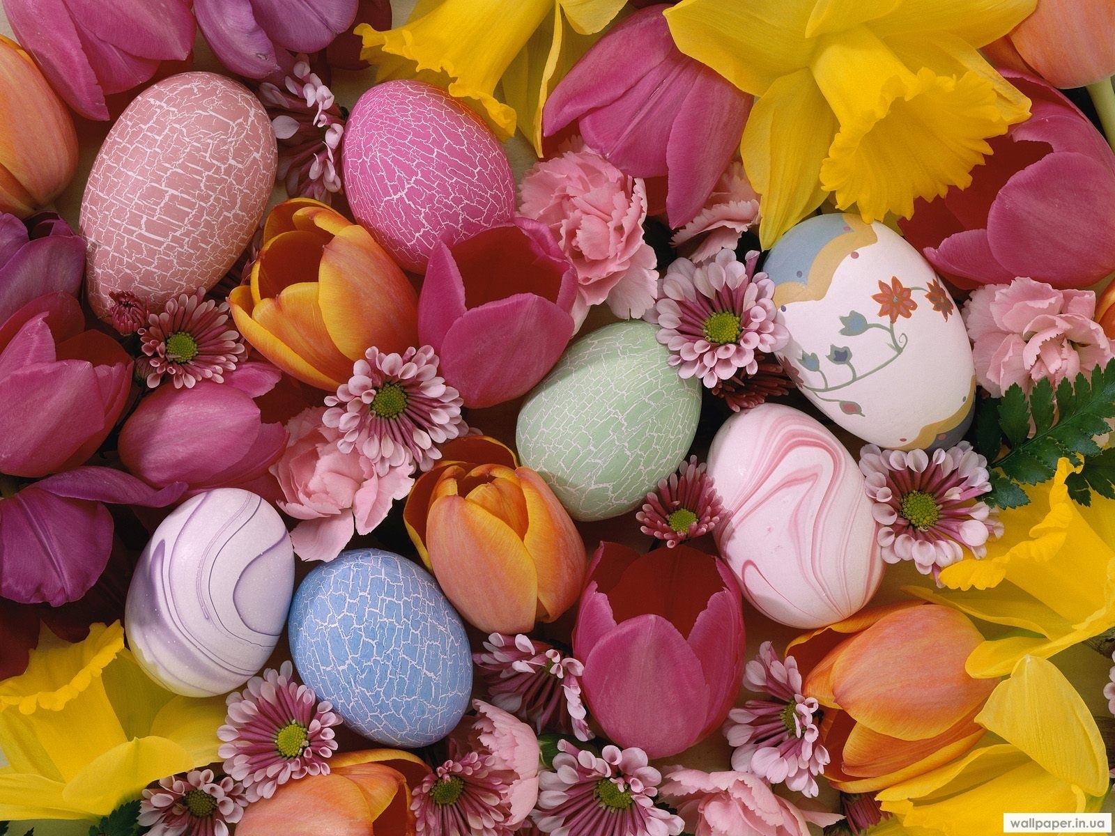 Завантажити шпалери безкоштовно Квіти, Яйця, Фон, Рослини, Великдень картинка на робочий стіл ПК