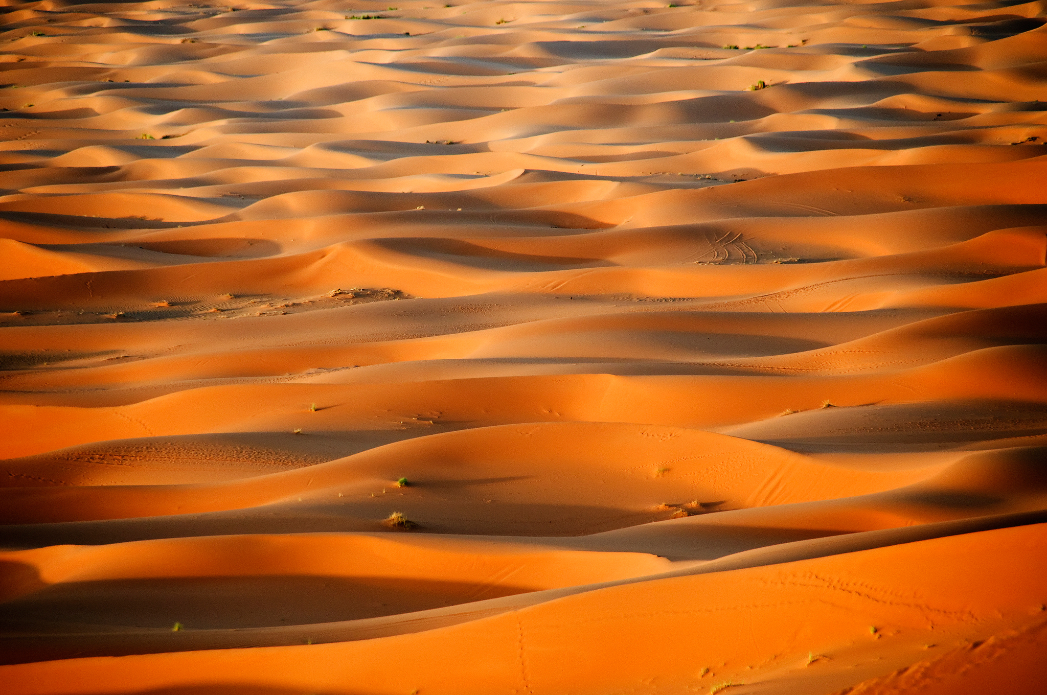 Скачать обои бесплатно Песок, Пустыня, Дюна, Земля/природа картинка на рабочий стол ПК