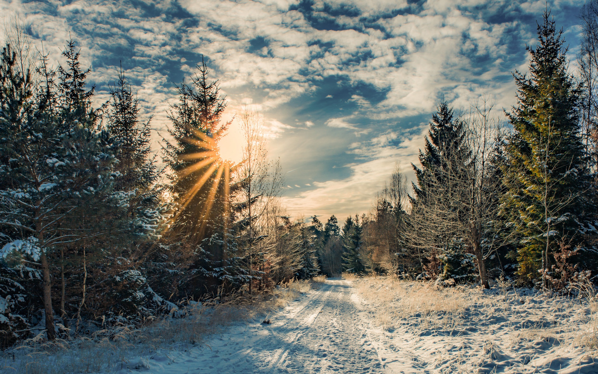 Скачать картинку Зима, Природа, Небо, Дорога, Лес, Дерево, Солнечный Луч, Земля/природа в телефон бесплатно.
