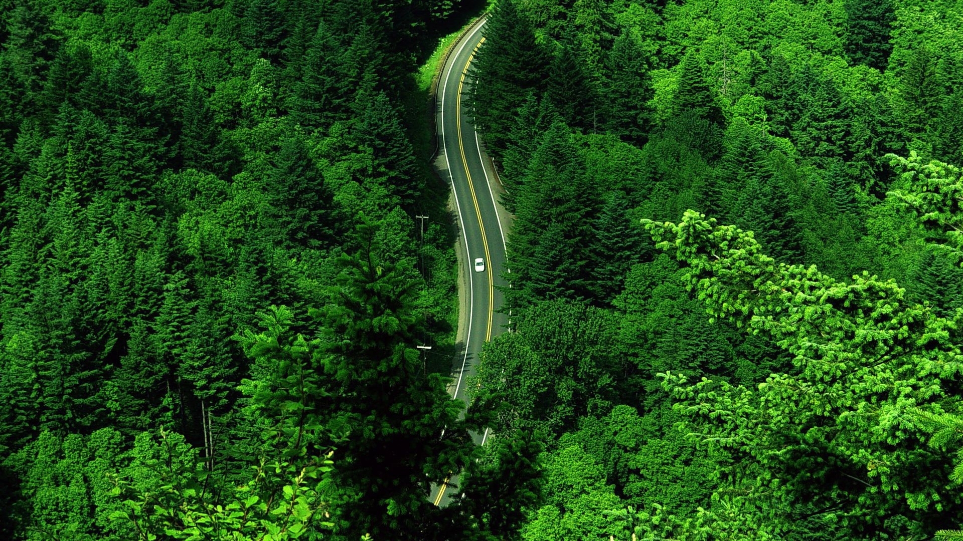 roads, landscape, nature, green HD wallpaper