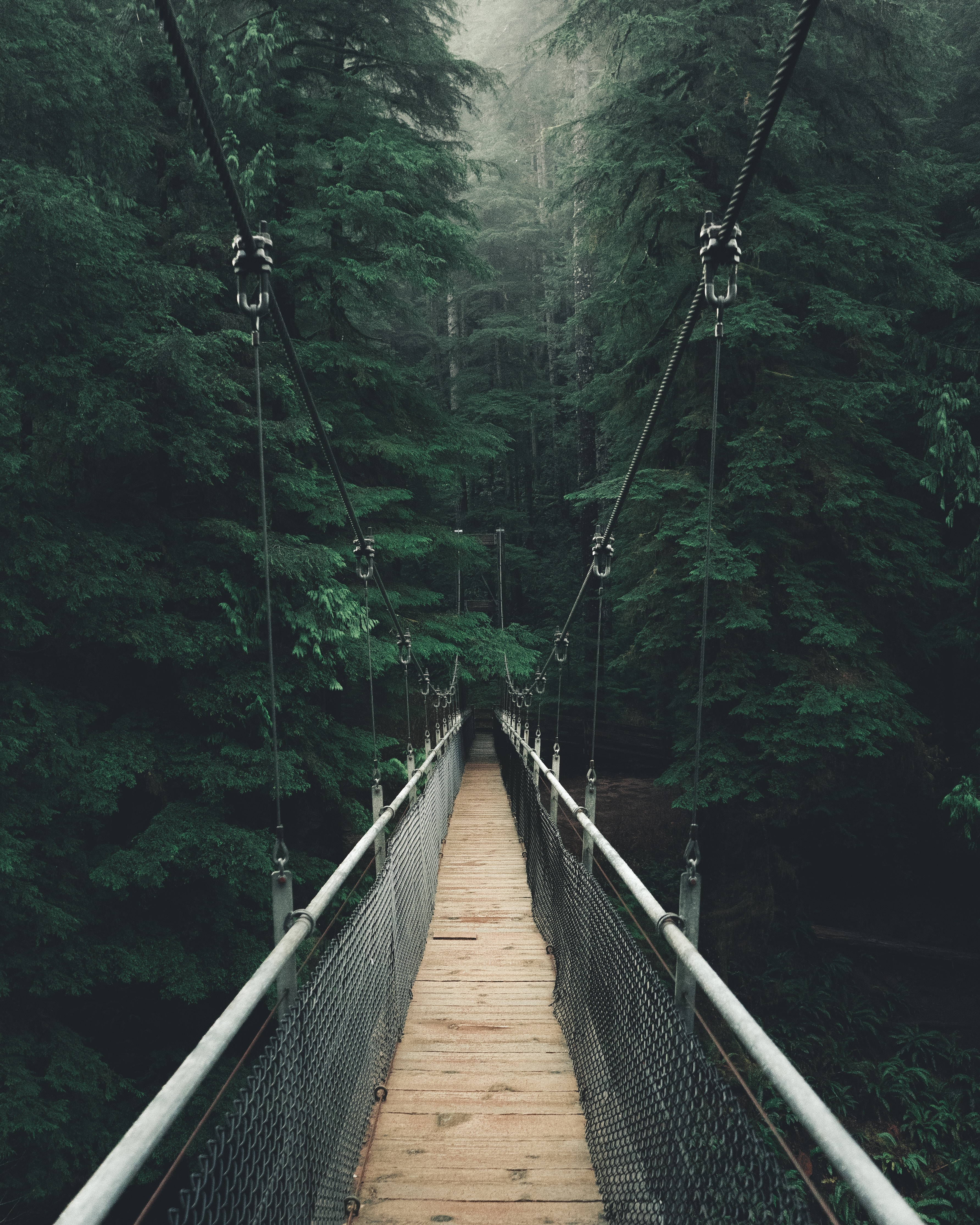 nature, bridge, forest, fog, rope bridge, cable bridge, suspension bridge Smartphone Background