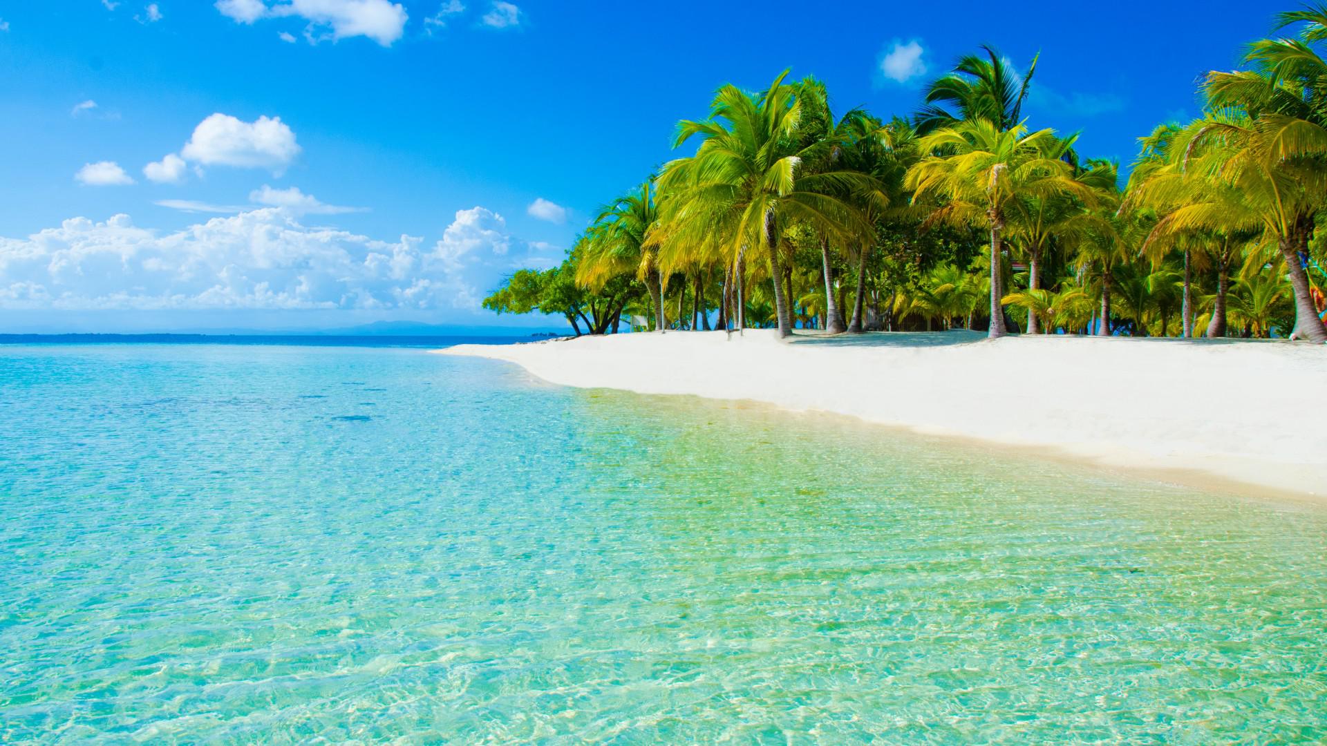 Laden Sie das Sand, Baum, Ozean, Palme, Tropen, Insel, Tropisch, Erde/natur-Bild kostenlos auf Ihren PC-Desktop herunter