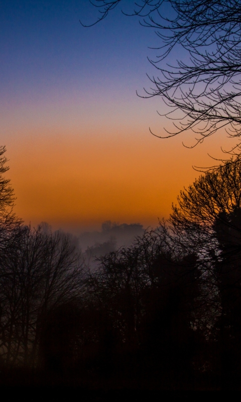 Descarga gratuita de fondo de pantalla para móvil de Naturaleza, Amanecer, Niebla, Tierra/naturaleza.