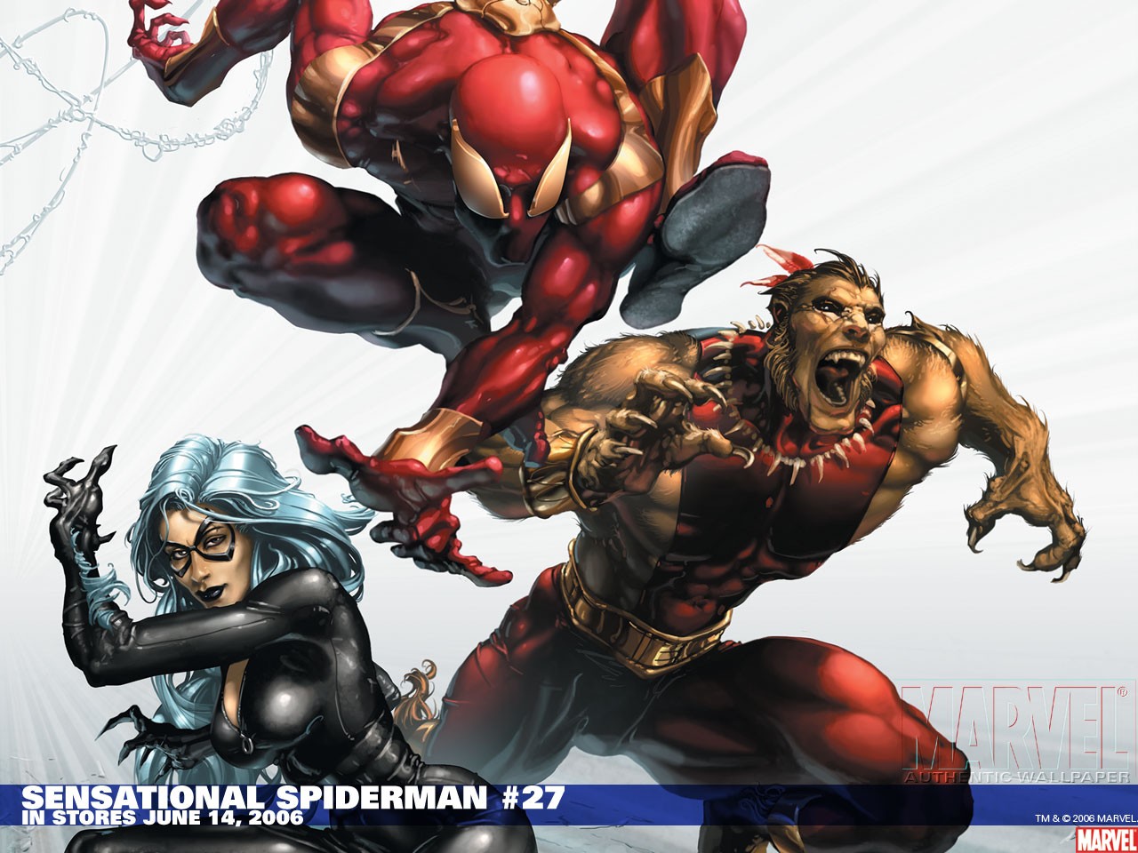 comics, sensational spiderman, black cat (marvel comics), spider man
