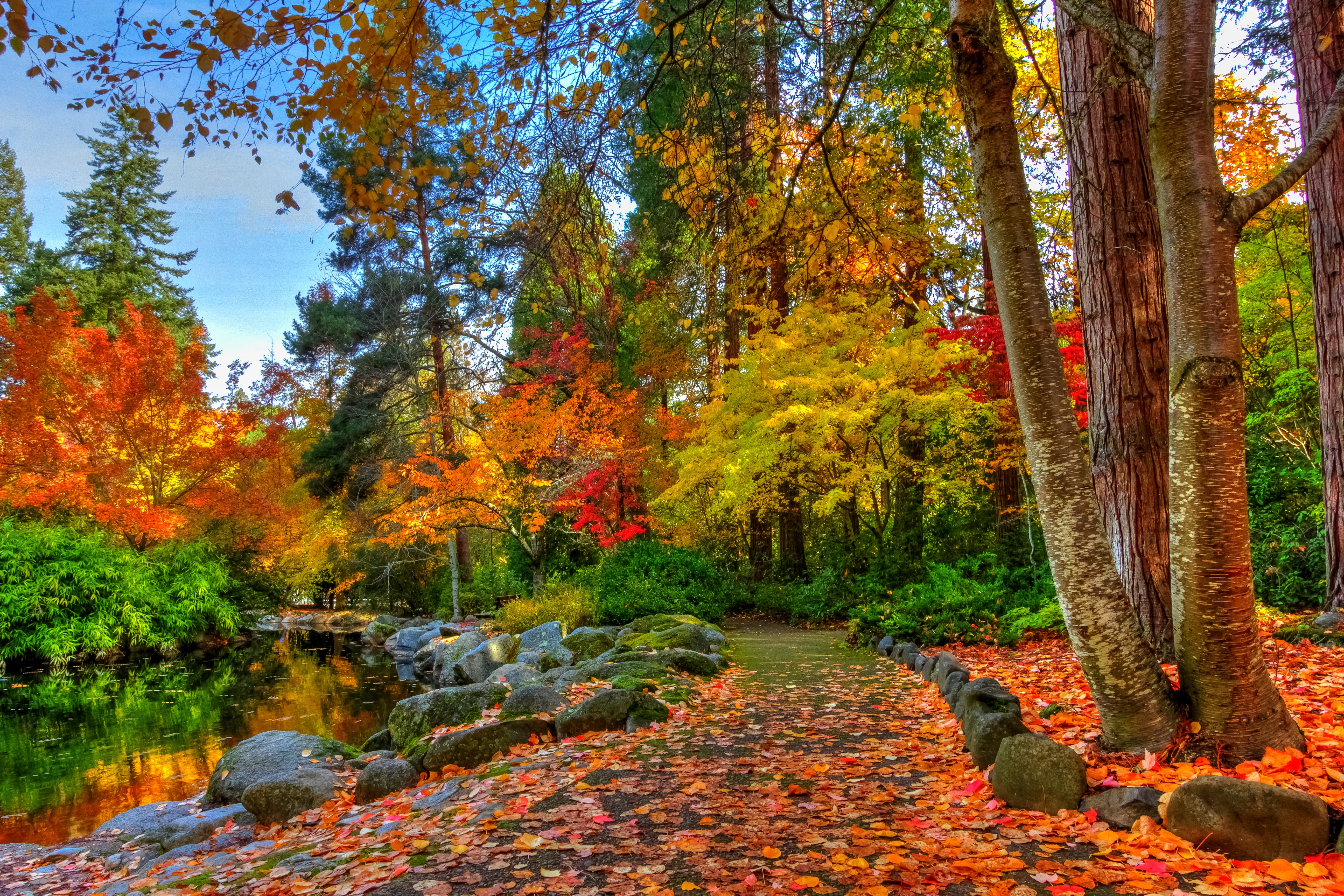 Скачать обои бесплатно Осень, Дорога, Парк, Дерево, Пруд, Фотографии картинка на рабочий стол ПК