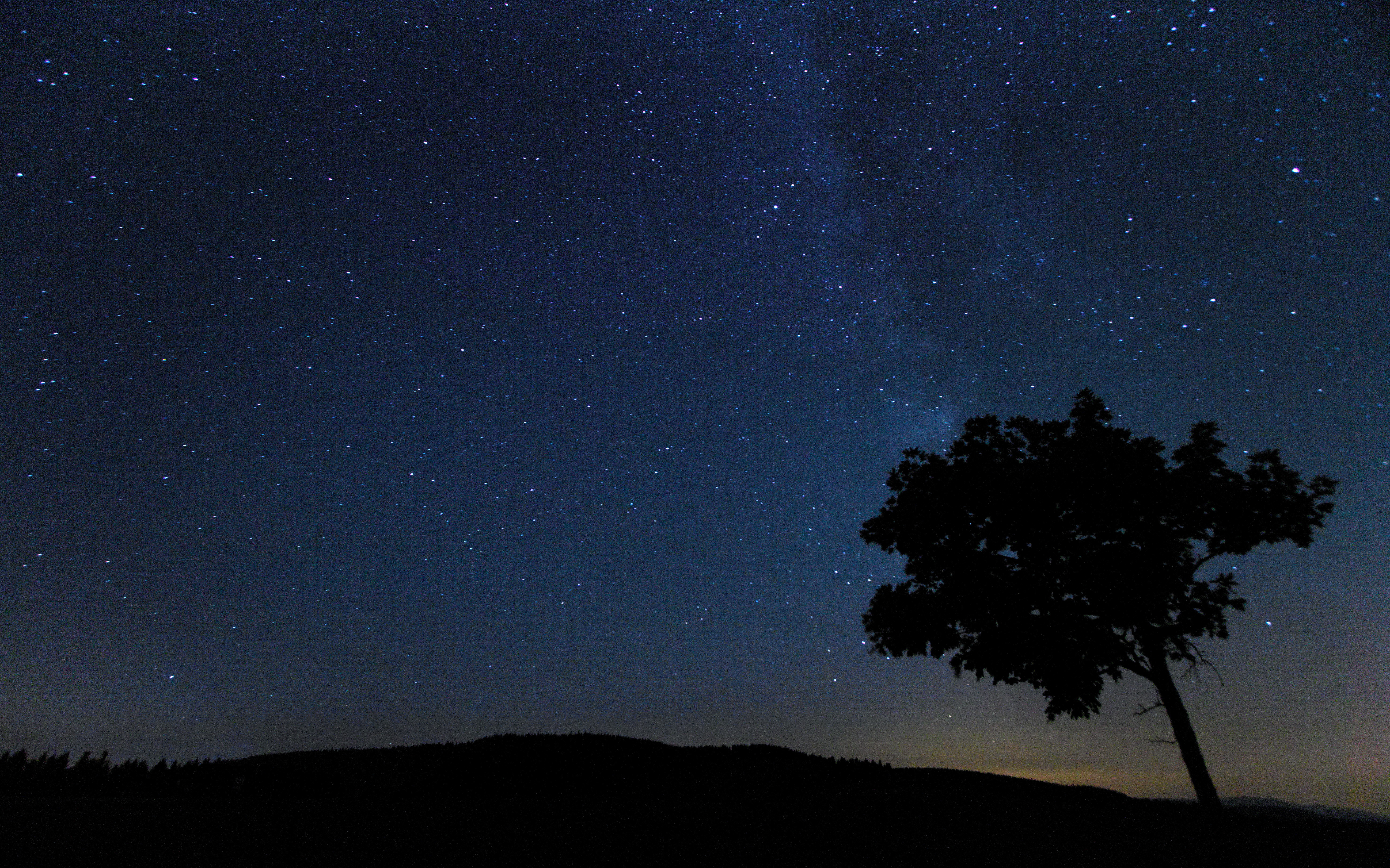 Download mobile wallpaper Wood, Tree, Starry Sky, Stars, Nature, Silhouette, Night for free.
