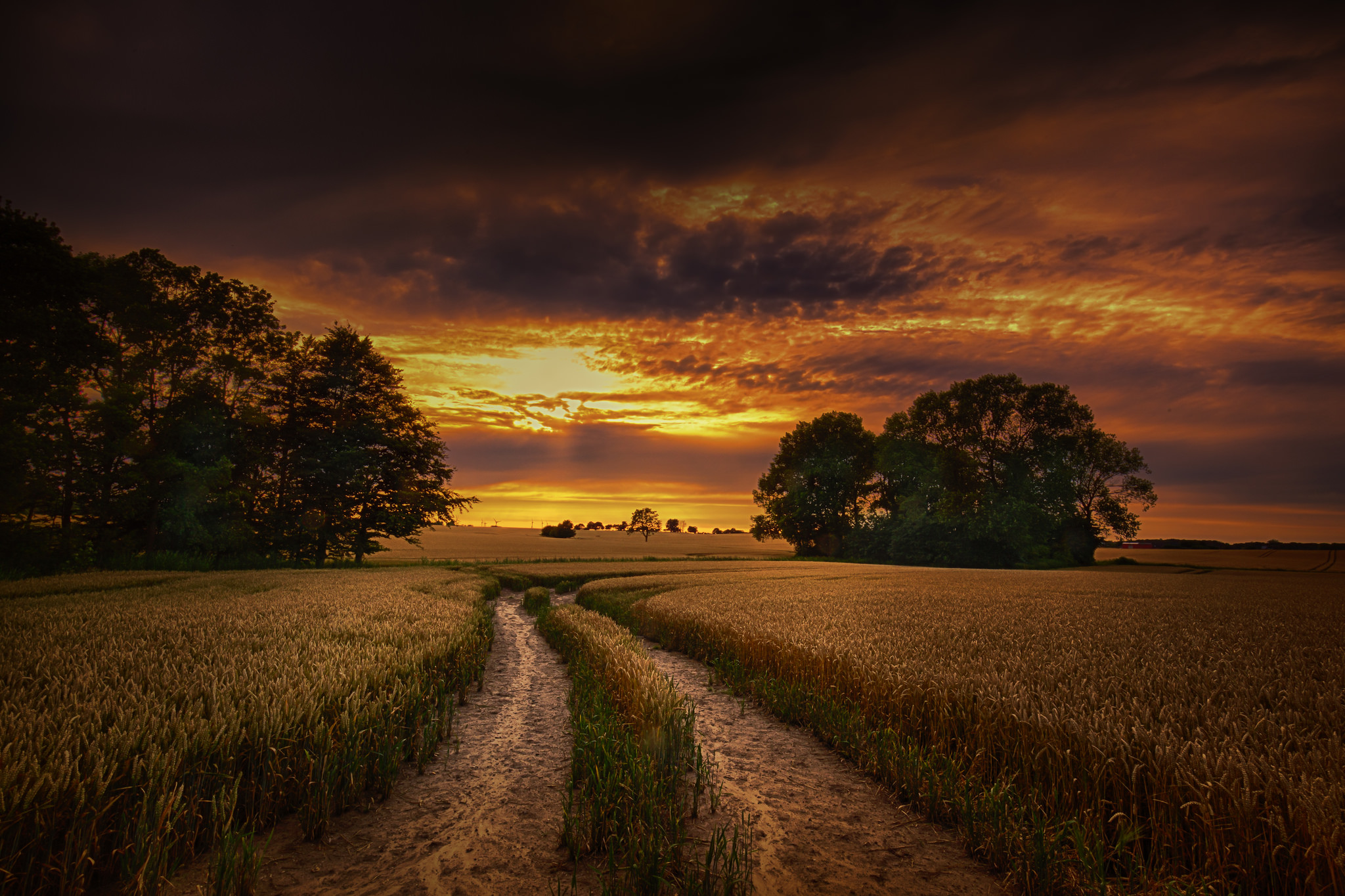 Free download wallpaper Nature, Sunset, Summer, Wheat, Horizon, Earth, Field, Dirt Road on your PC desktop