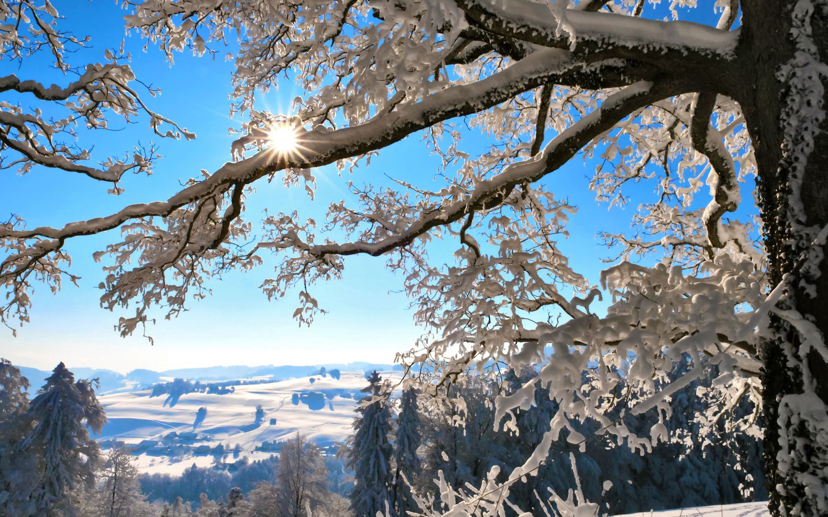 Завантажити шпалери безкоштовно Зима, Природа, Світло, Світлий, Дерево, Гілки, Гілка, Сонце картинка на робочий стіл ПК