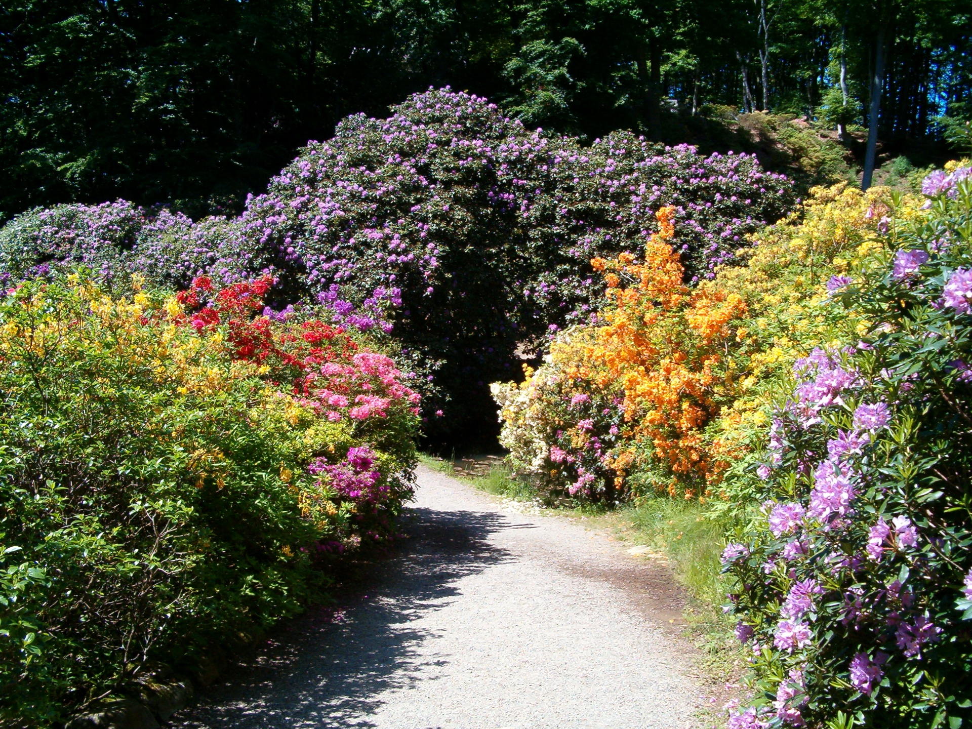 Laden Sie das Park, Fotografie-Bild kostenlos auf Ihren PC-Desktop herunter