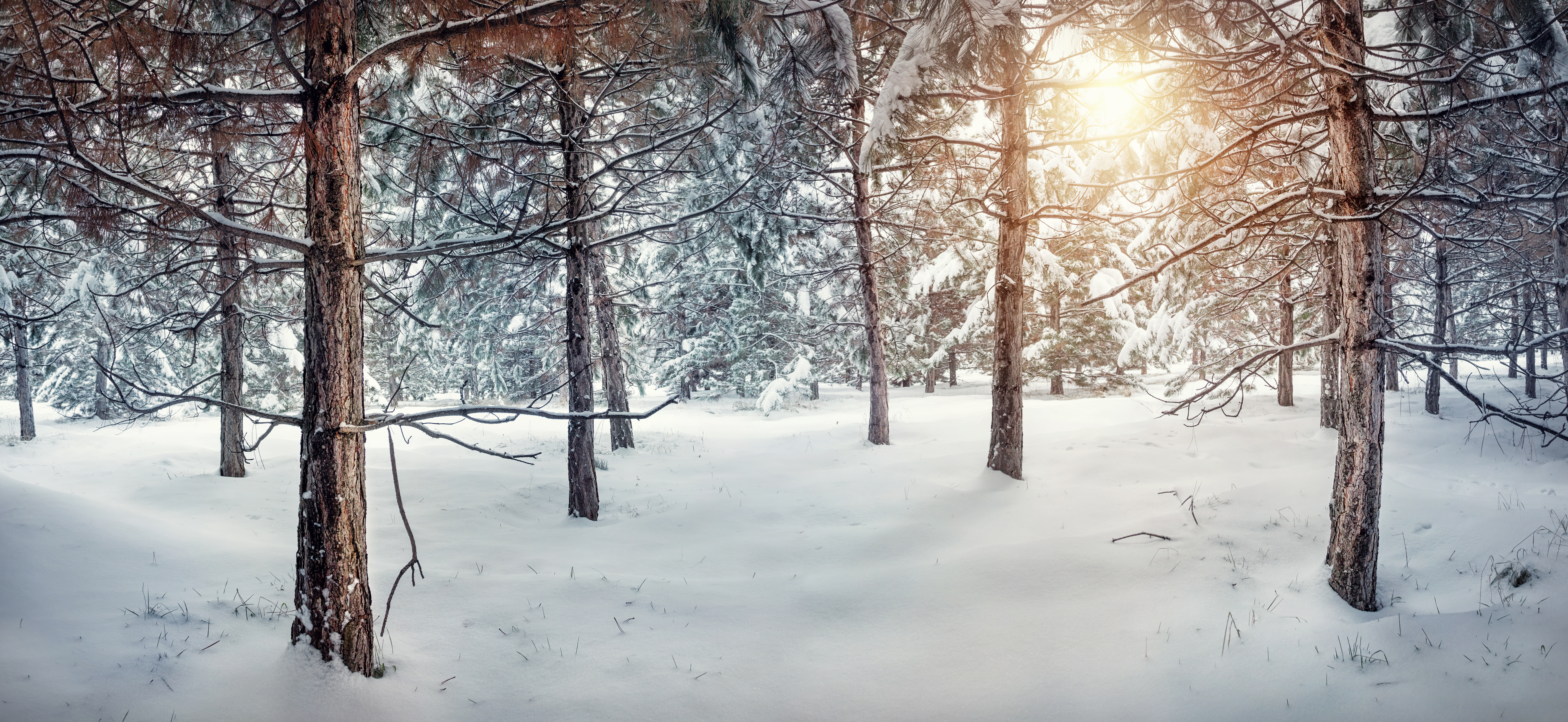 Free download wallpaper Winter, Earth on your PC desktop