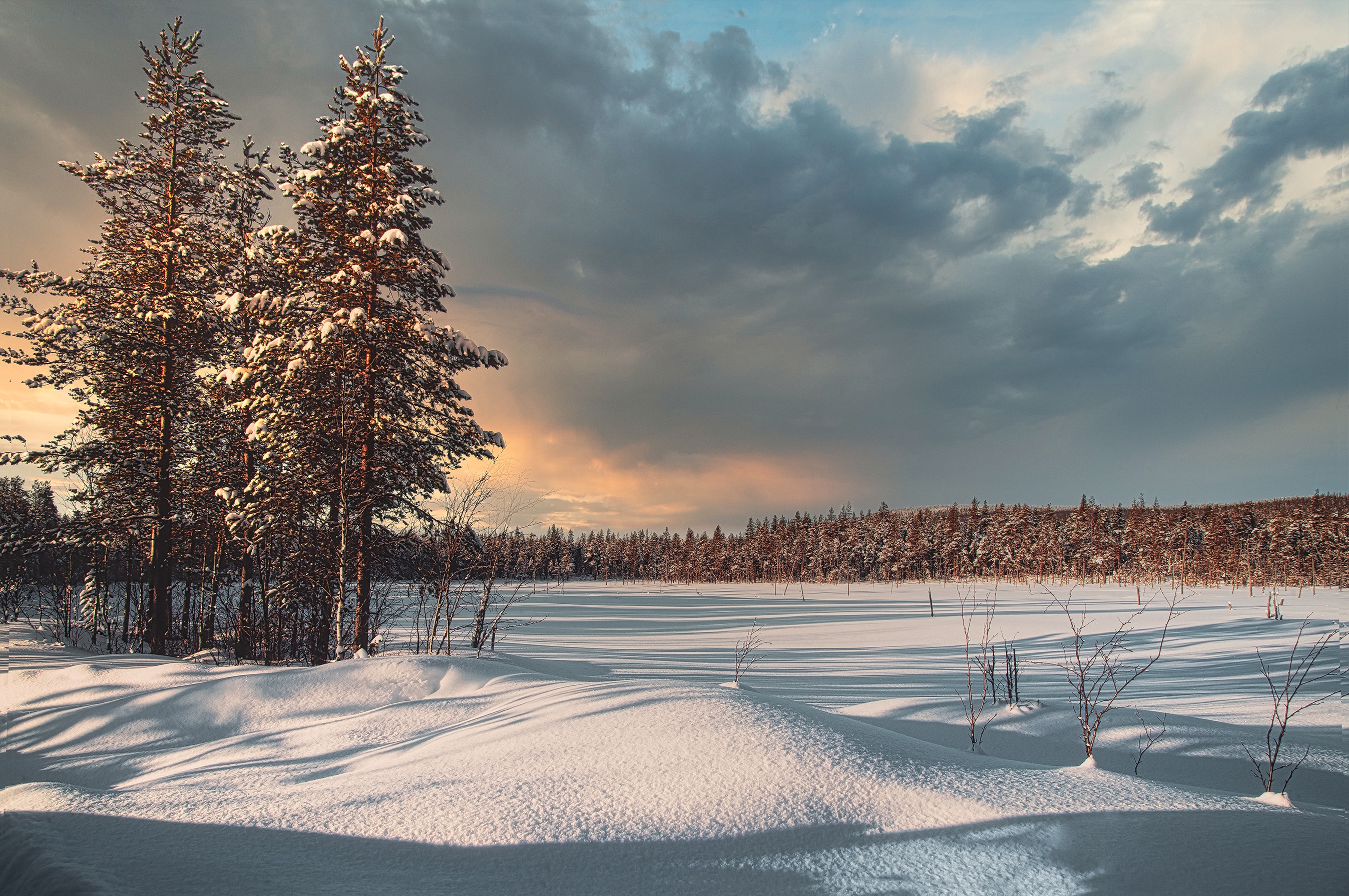 Handy-Wallpaper Winter, Natur, Schnee, Erde/natur kostenlos herunterladen.