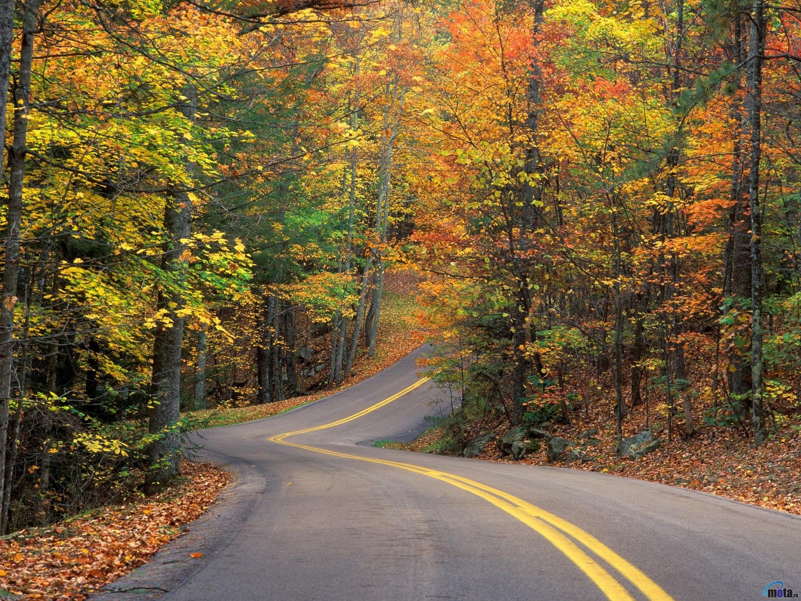 無料モバイル壁紙風景, 道路, 秋をダウンロードします。