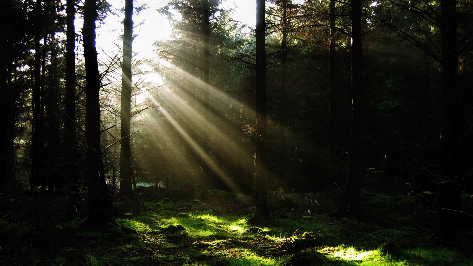 Descarga gratis la imagen Rayo De Sol, Tierra/naturaleza en el escritorio de tu PC