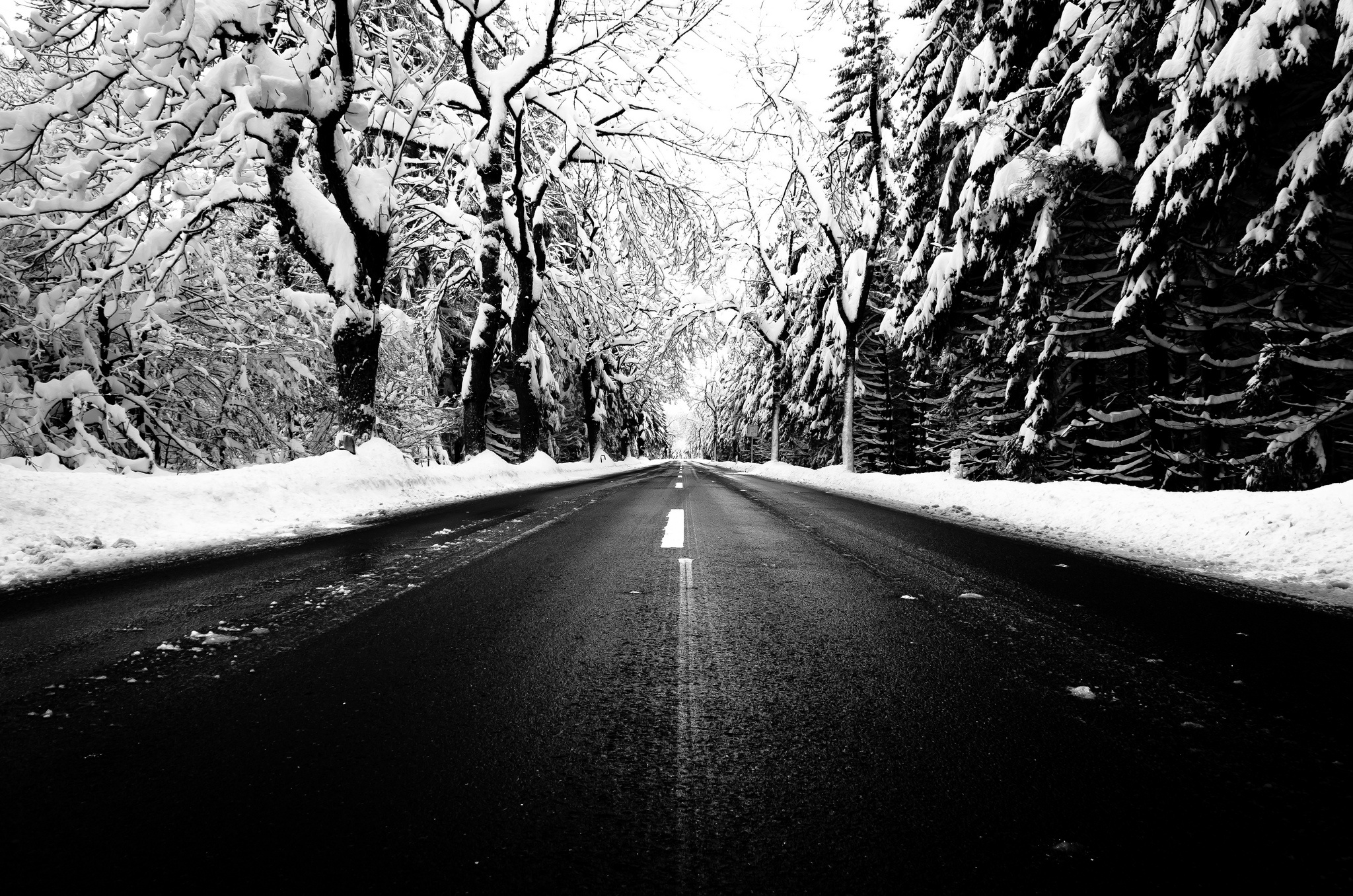 PCデスクトップに冬, 自然, 木, 雪, 道, マンメイド画像を無料でダウンロード