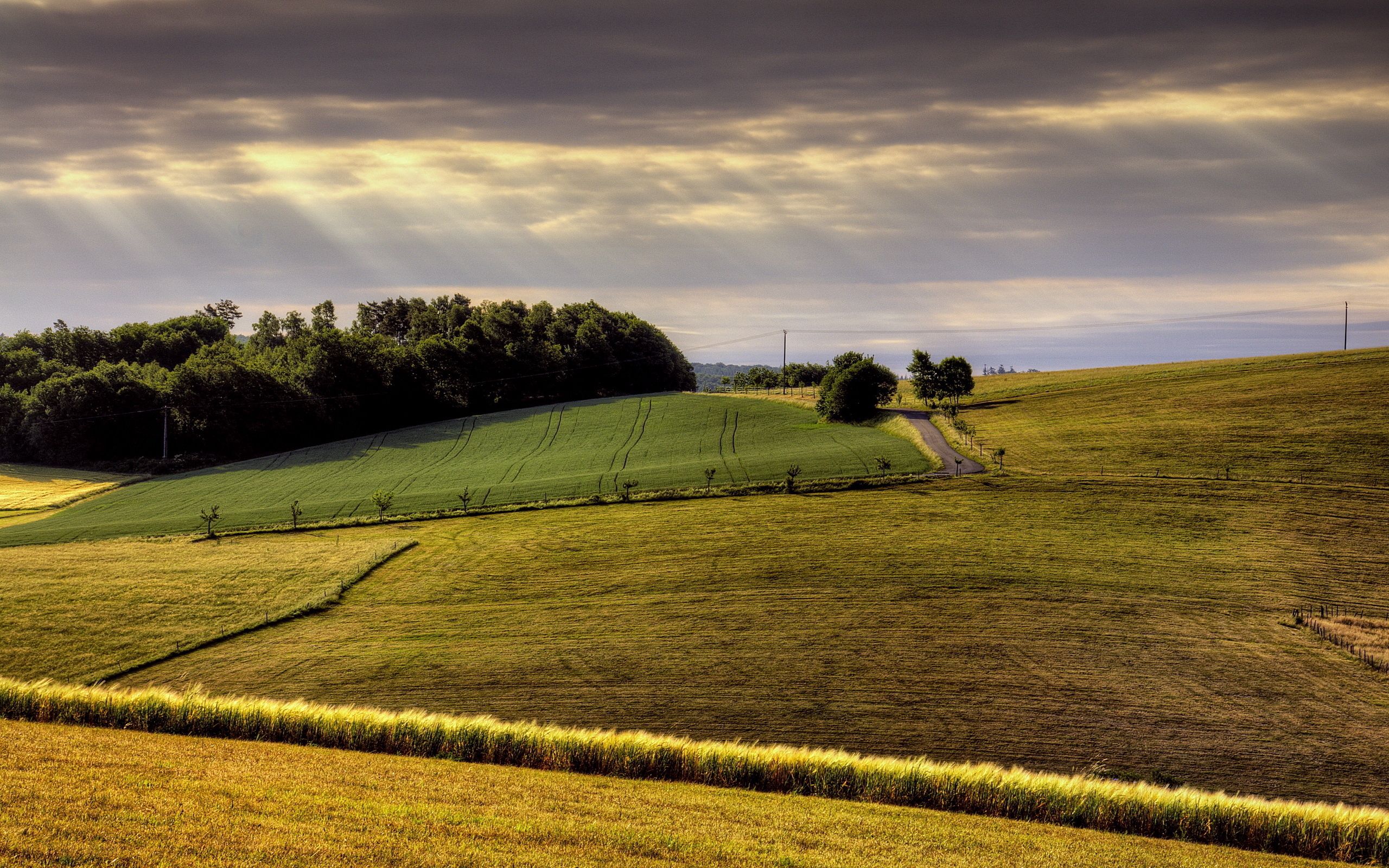 agriculture, nature, road, field, hills, day, arable land