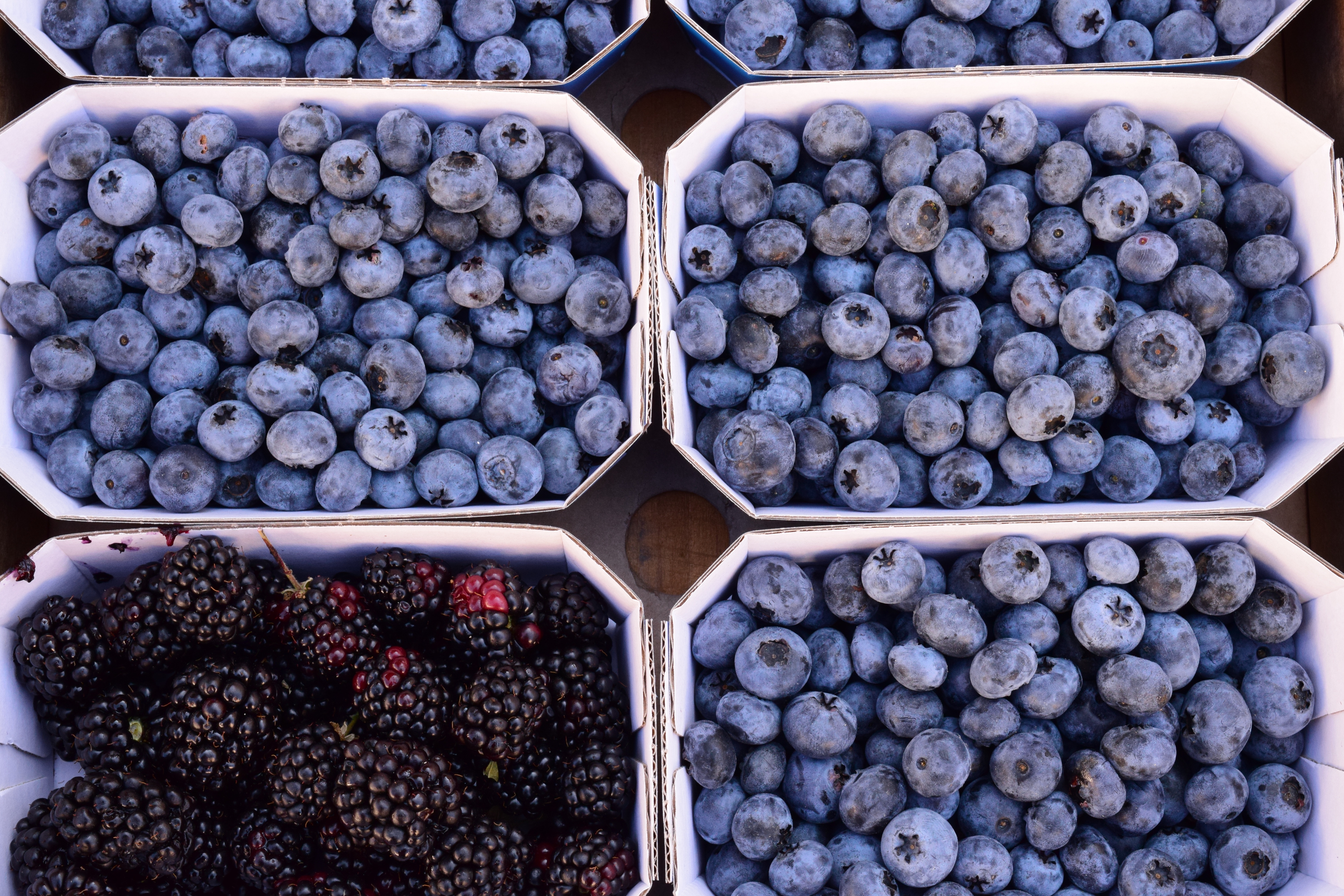 Laden Sie das Lebensmittel, Blaubeeren, Berries, Blackberry-Bild kostenlos auf Ihren PC-Desktop herunter