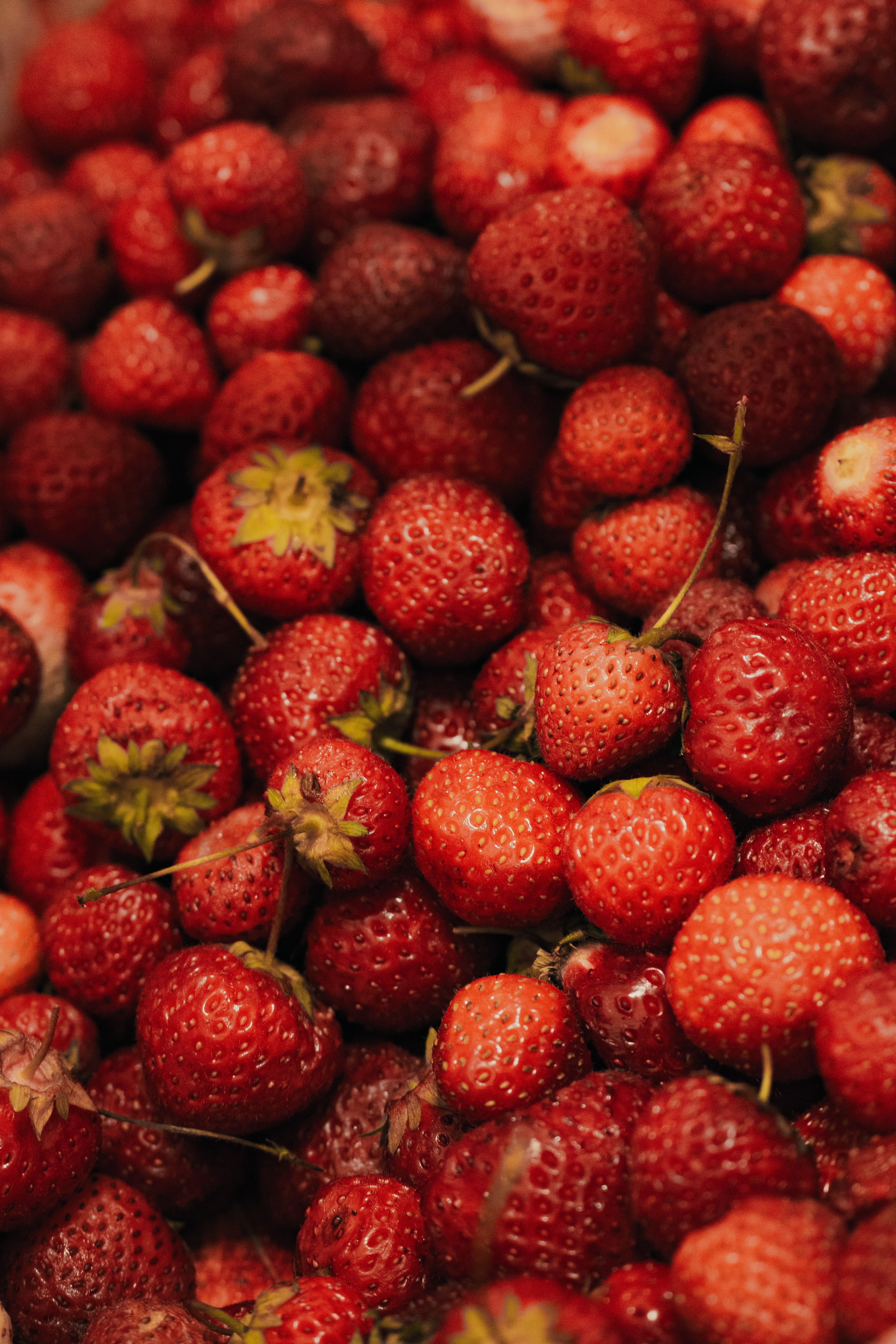 strawberry, close, fruits, food, macro, berry, wild strawberries