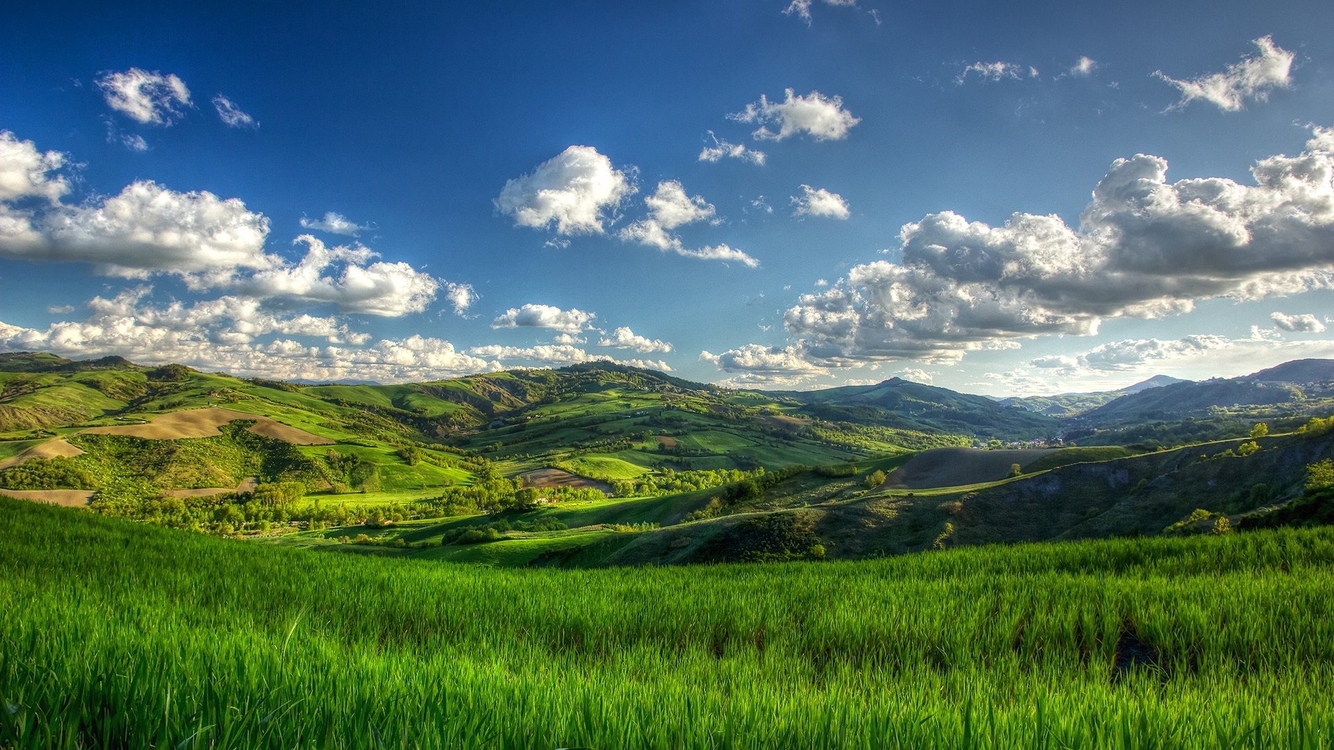 Laden Sie das Feld, Erde/natur-Bild kostenlos auf Ihren PC-Desktop herunter