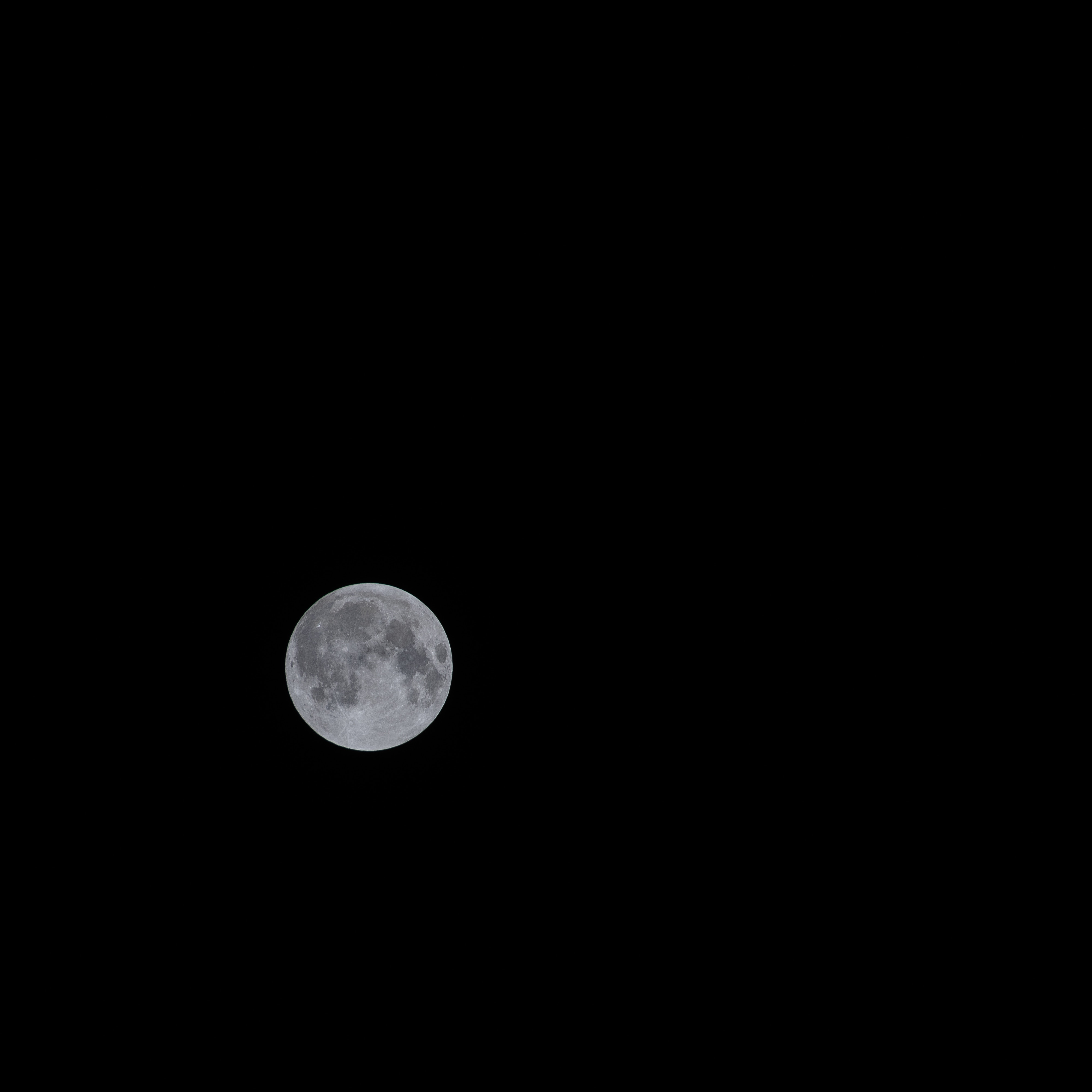 146384 скачать картинку луна, чб, космос, полнолуние, спутник - обои и заставки бесплатно
