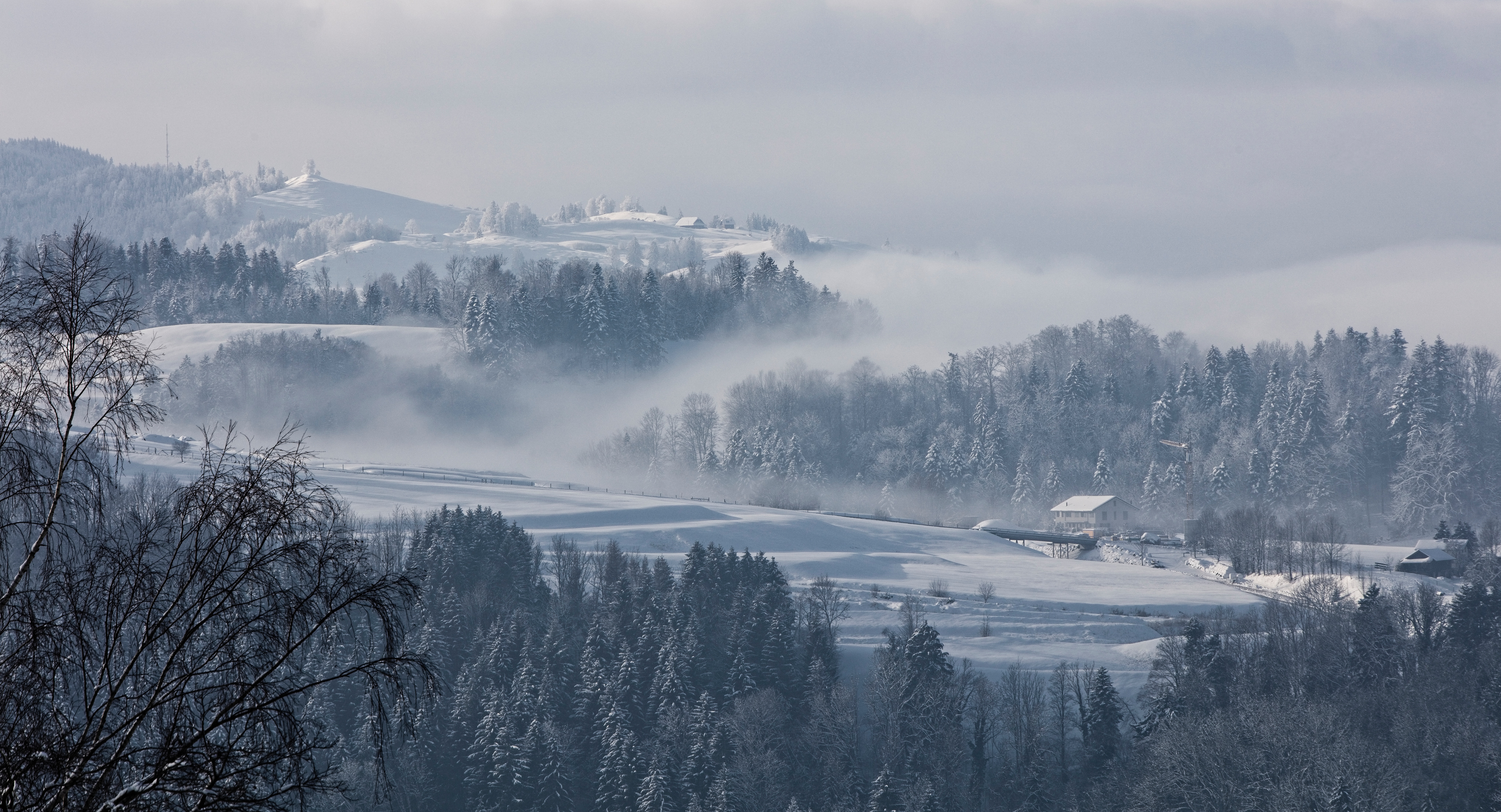 Handy-Wallpaper Natur, Bäume, Fir, Tanne, Schnee, Nebel, Winter, Schweiz kostenlos herunterladen.