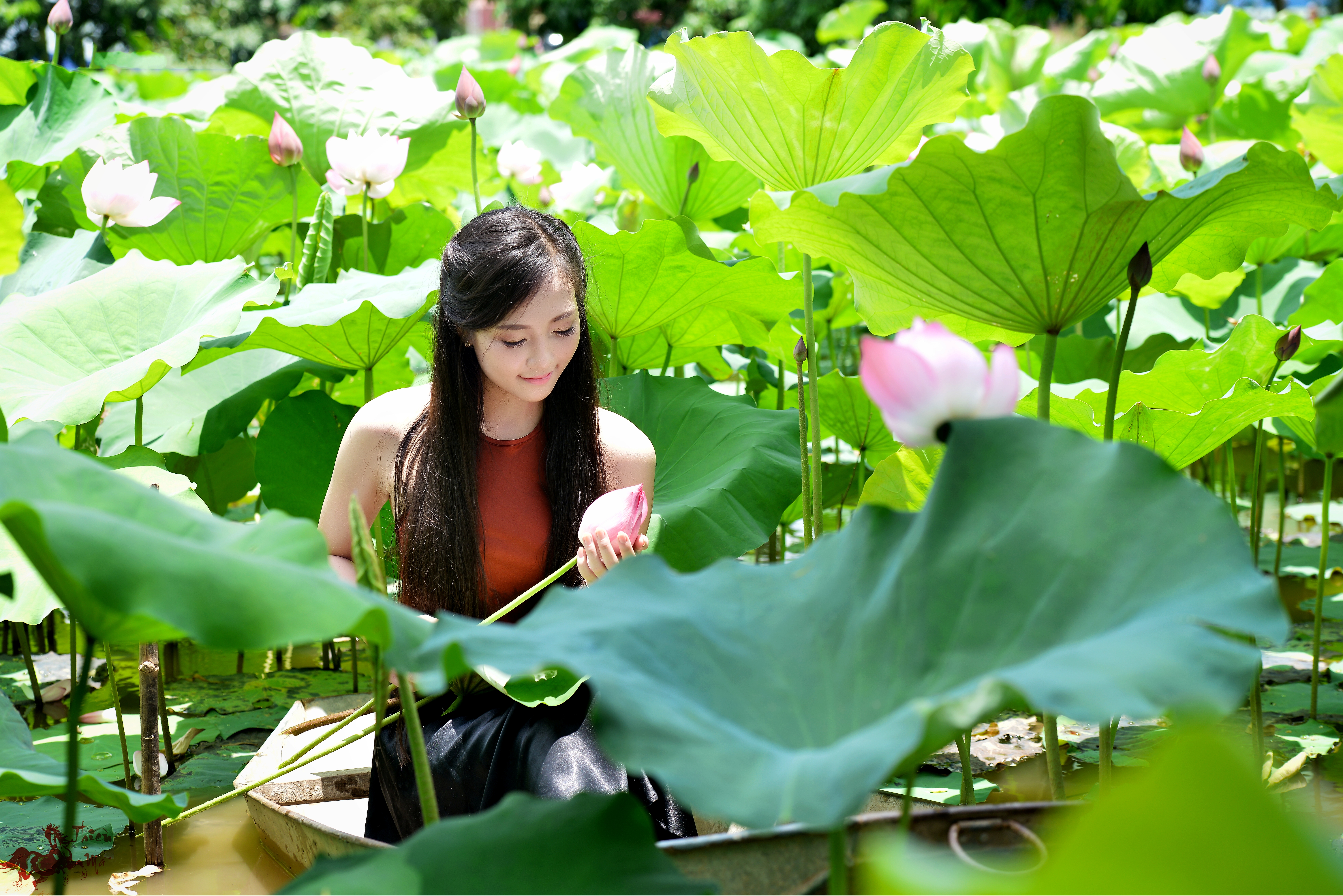 1523139 Hintergrundbild herunterladen frauen, asiatinnen, boot, blume, blatt, lotus, teich, lächeln, sonnenschein, vietnamesisch - Bildschirmschoner und Bilder kostenlos