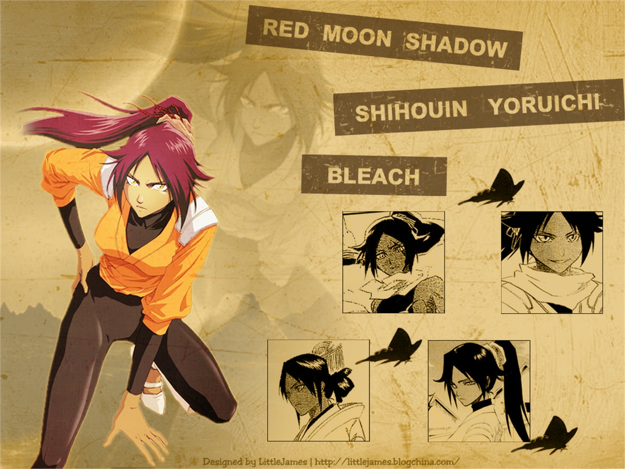 Laden Sie das Bleach, Animes, Yoruichi Shihoin-Bild kostenlos auf Ihren PC-Desktop herunter