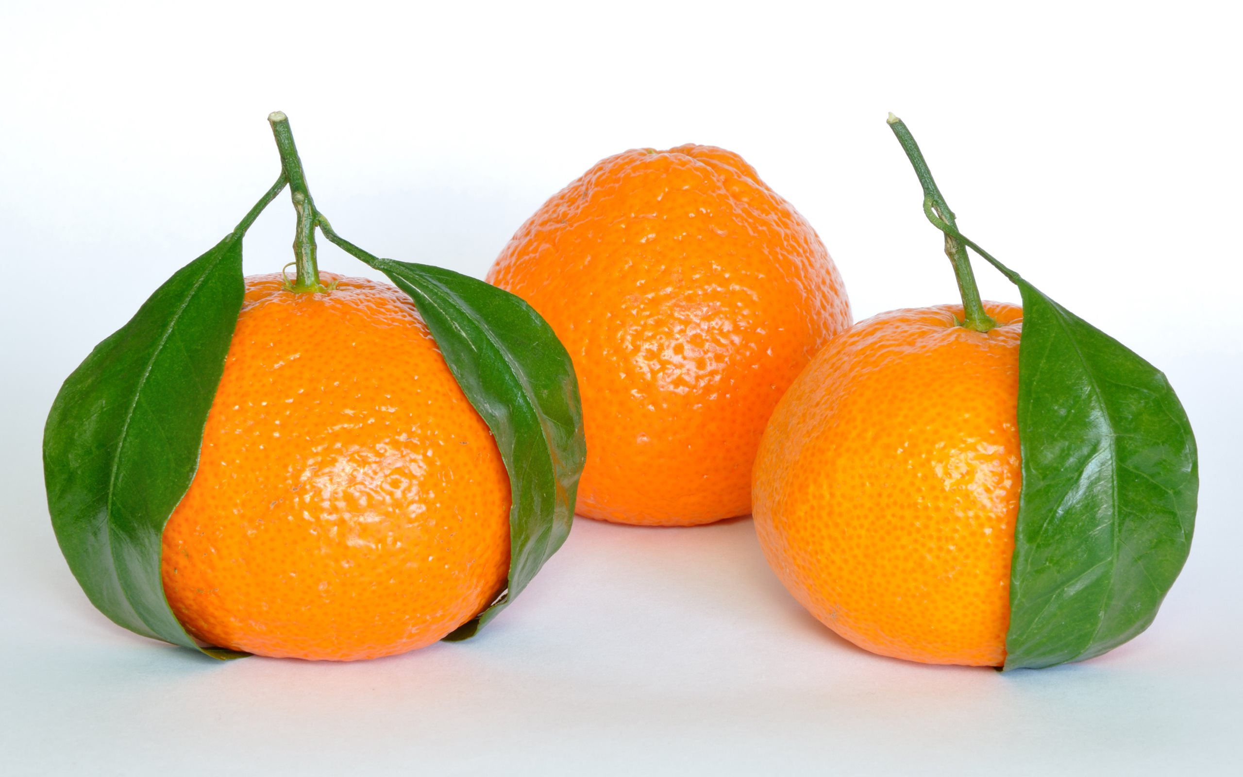 326791 Bild herunterladen nahrungsmittel, orange, orange (obst), früchte - Hintergrundbilder und Bildschirmschoner kostenlos