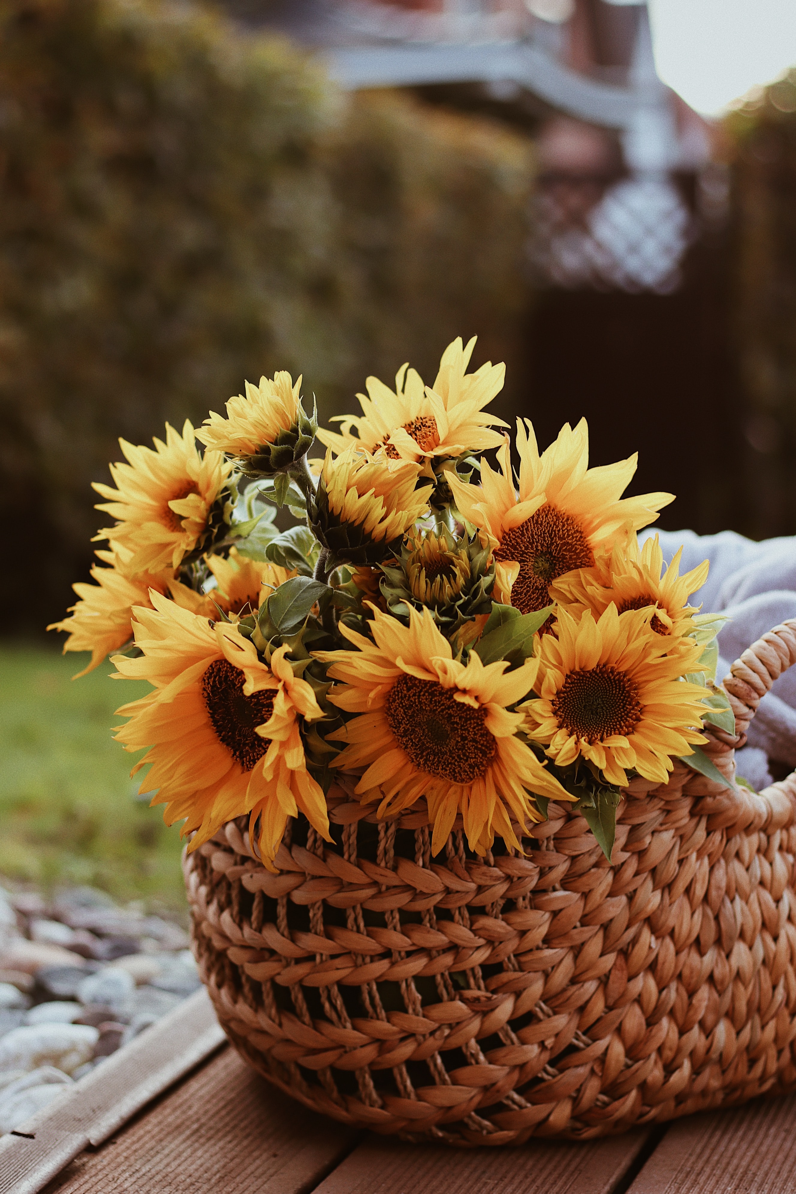 sunflower, bouquet, flowers, basket