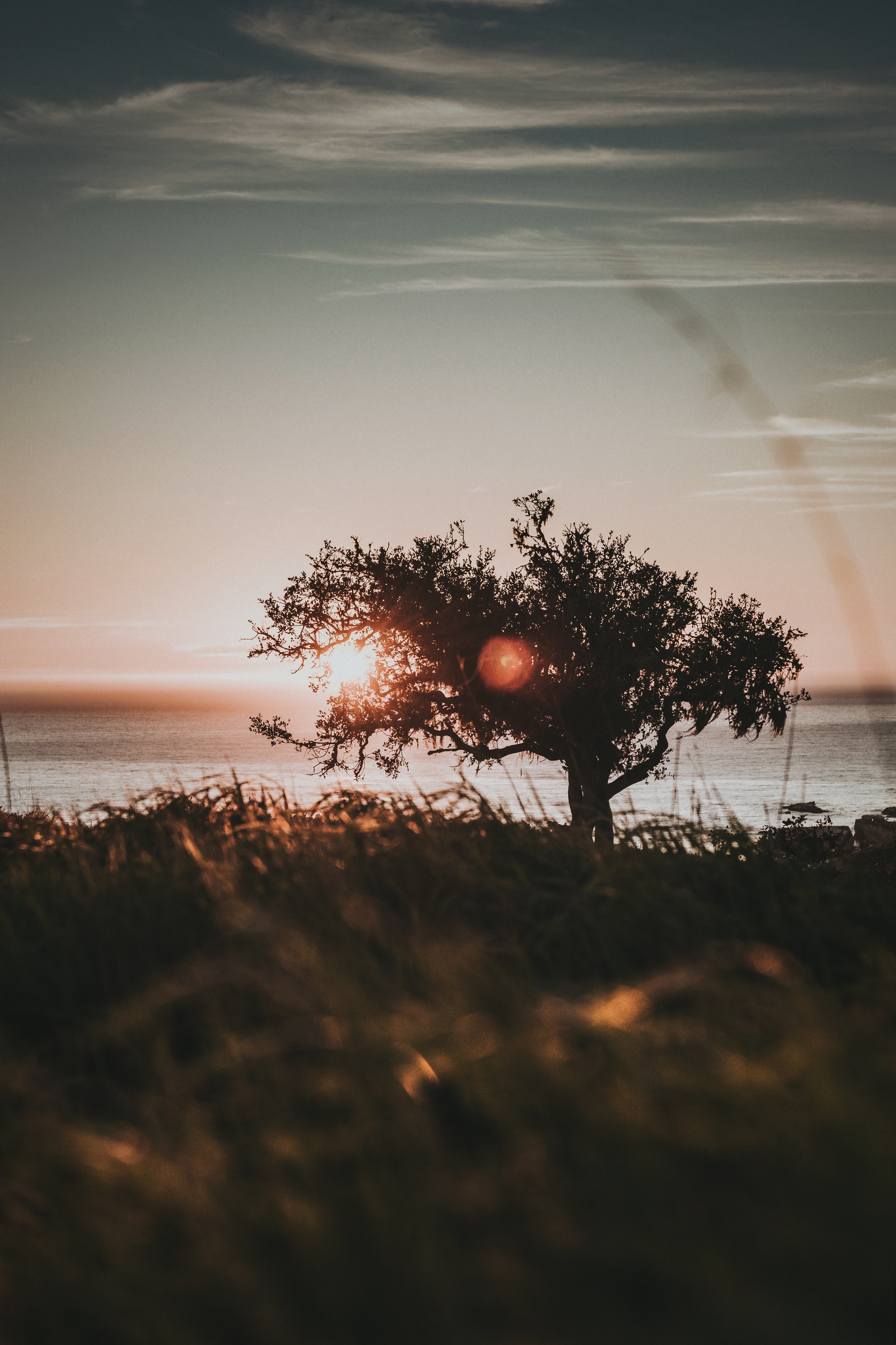 Laden Sie das Natur, Sun, Blendung, Holz, Baum, Sunset-Bild kostenlos auf Ihren PC-Desktop herunter