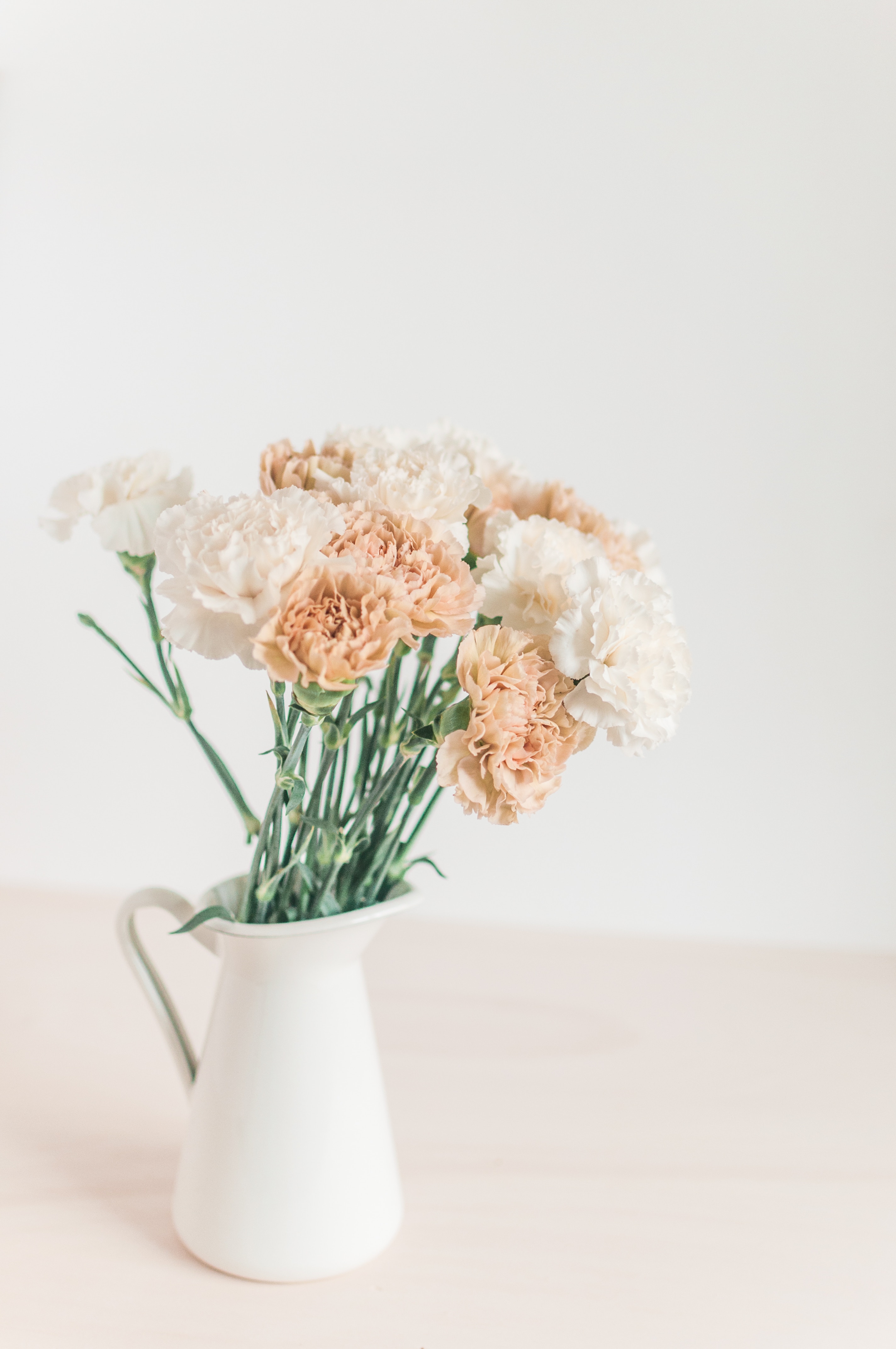 125668 télécharger l'image vase, fleurs, blanc, lumière, bouquet, couleur claire - fonds d'écran et économiseurs d'écran gratuits