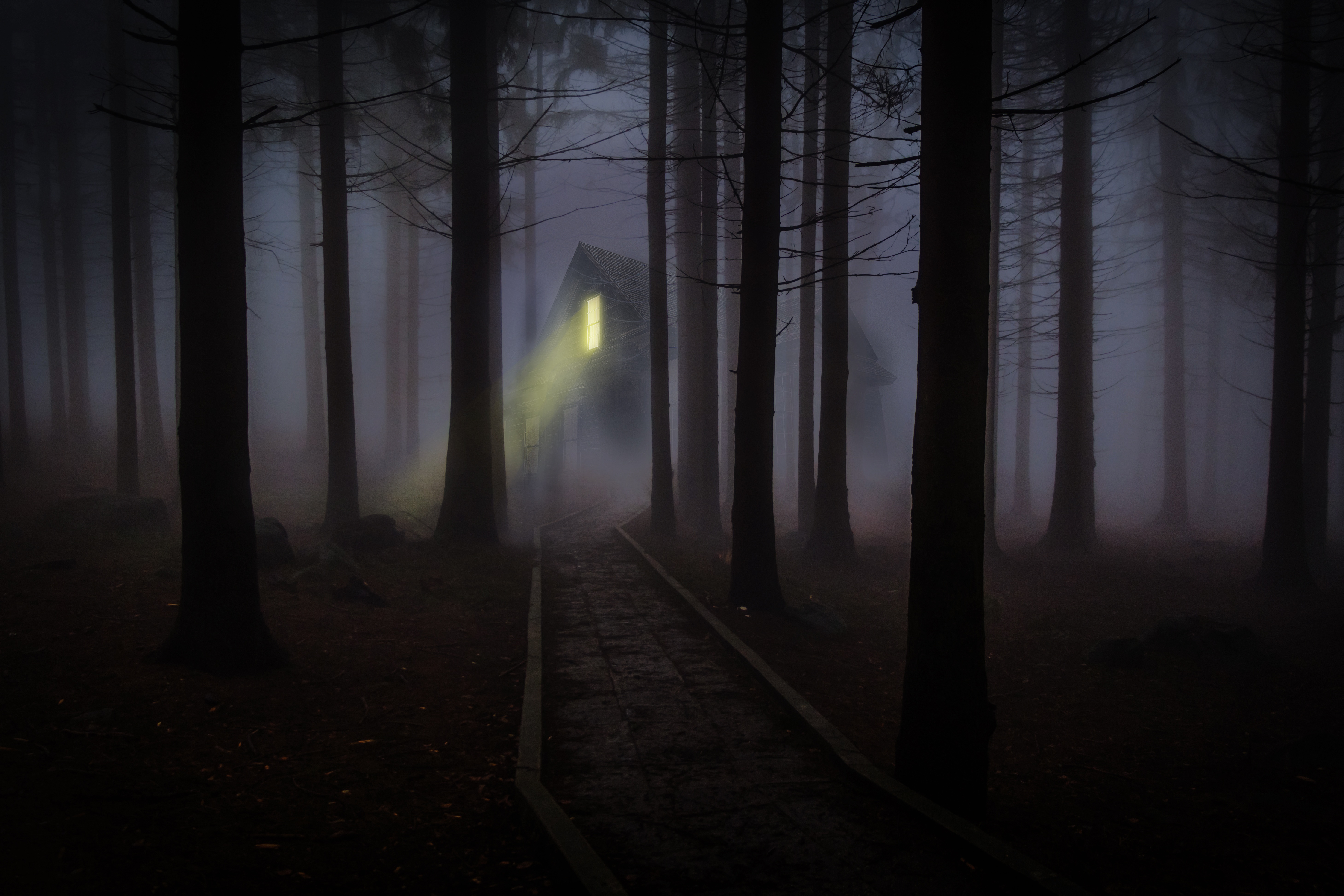 Download mobile wallpaper Dark, Forest, Fog, House, Path for free.