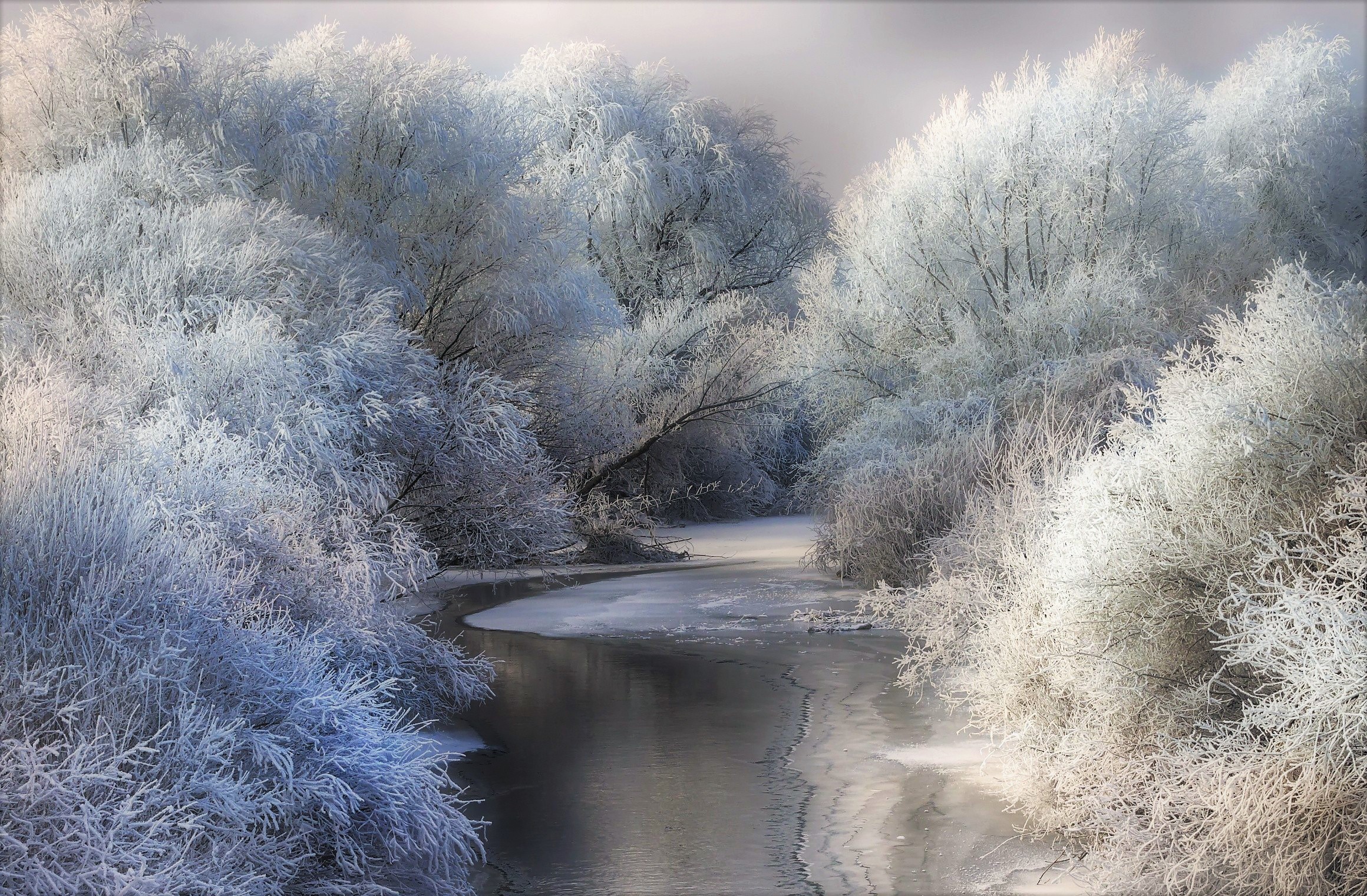 872455 Bild herunterladen frost, erde/natur, winter, teich, schnee, baum - Hintergrundbilder und Bildschirmschoner kostenlos