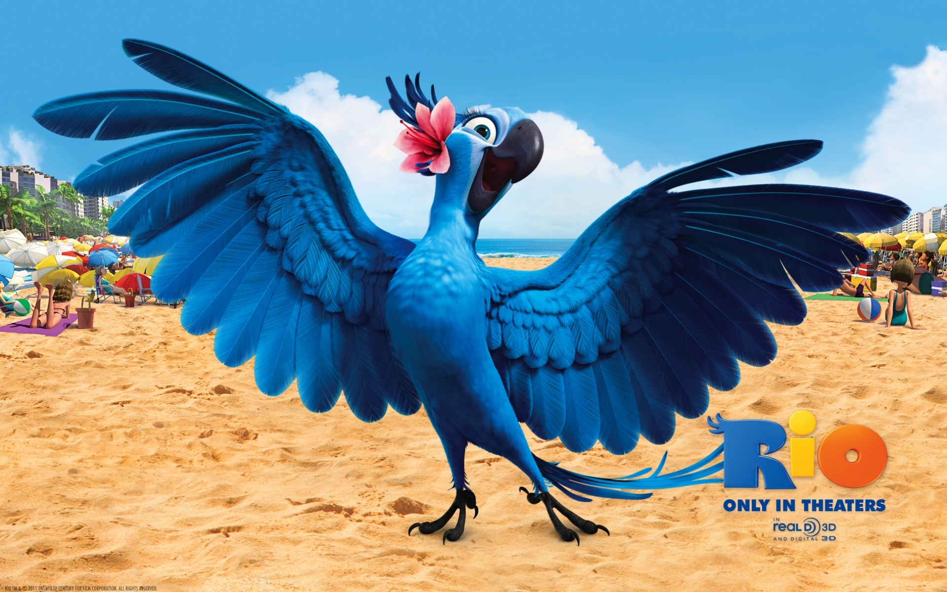 24969 télécharger le fond d'écran rio, dessin animé, bleu, oiseaux, perroquets - économiseurs d'écran et images gratuitement