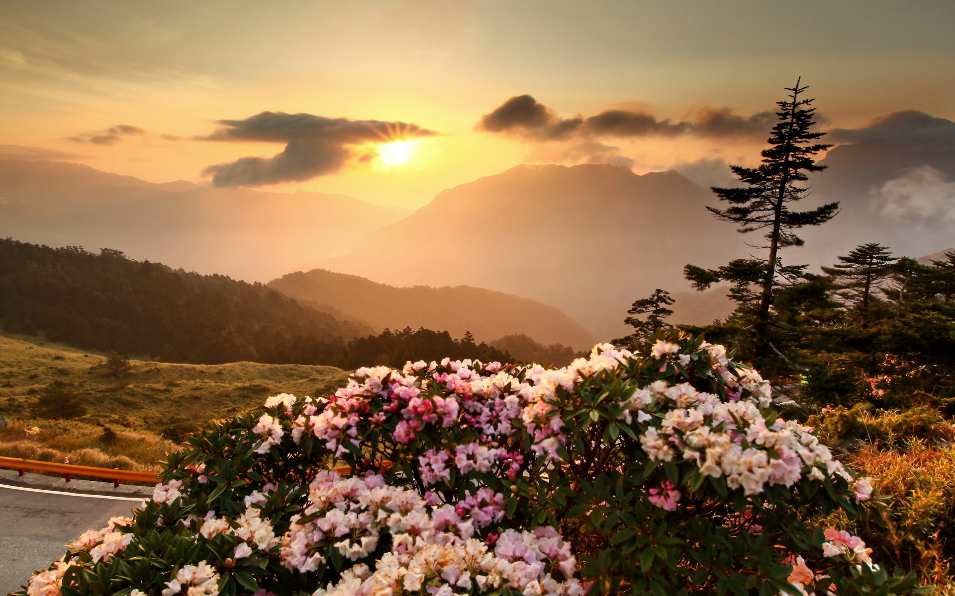 Laden Sie das Landschaft, Natur, Blume, Sonnenaufgang, Gebirge, Wolke, Szene, Himmel, Sonne, Erde/natur-Bild kostenlos auf Ihren PC-Desktop herunter