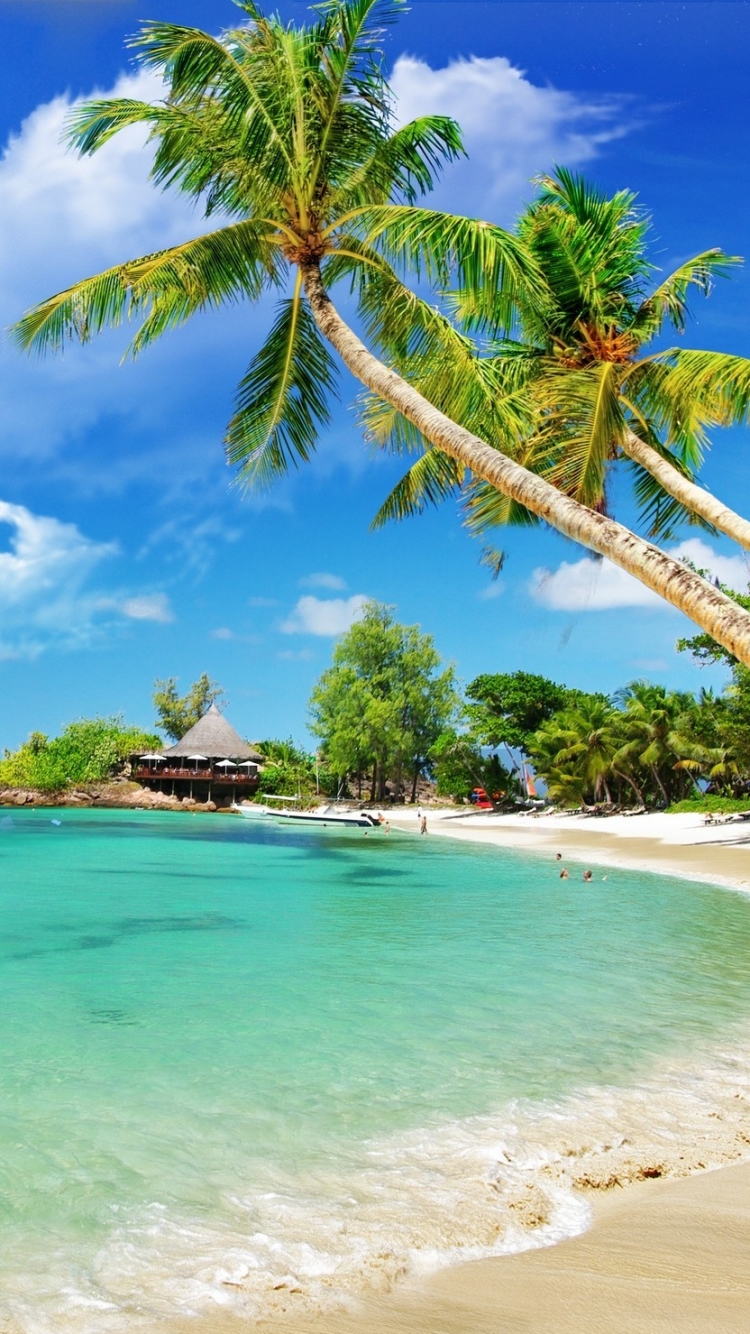 Скачать картинку Пляж, Лагуна, Тропический, Сейшелы, Земля/природа в телефон бесплатно.