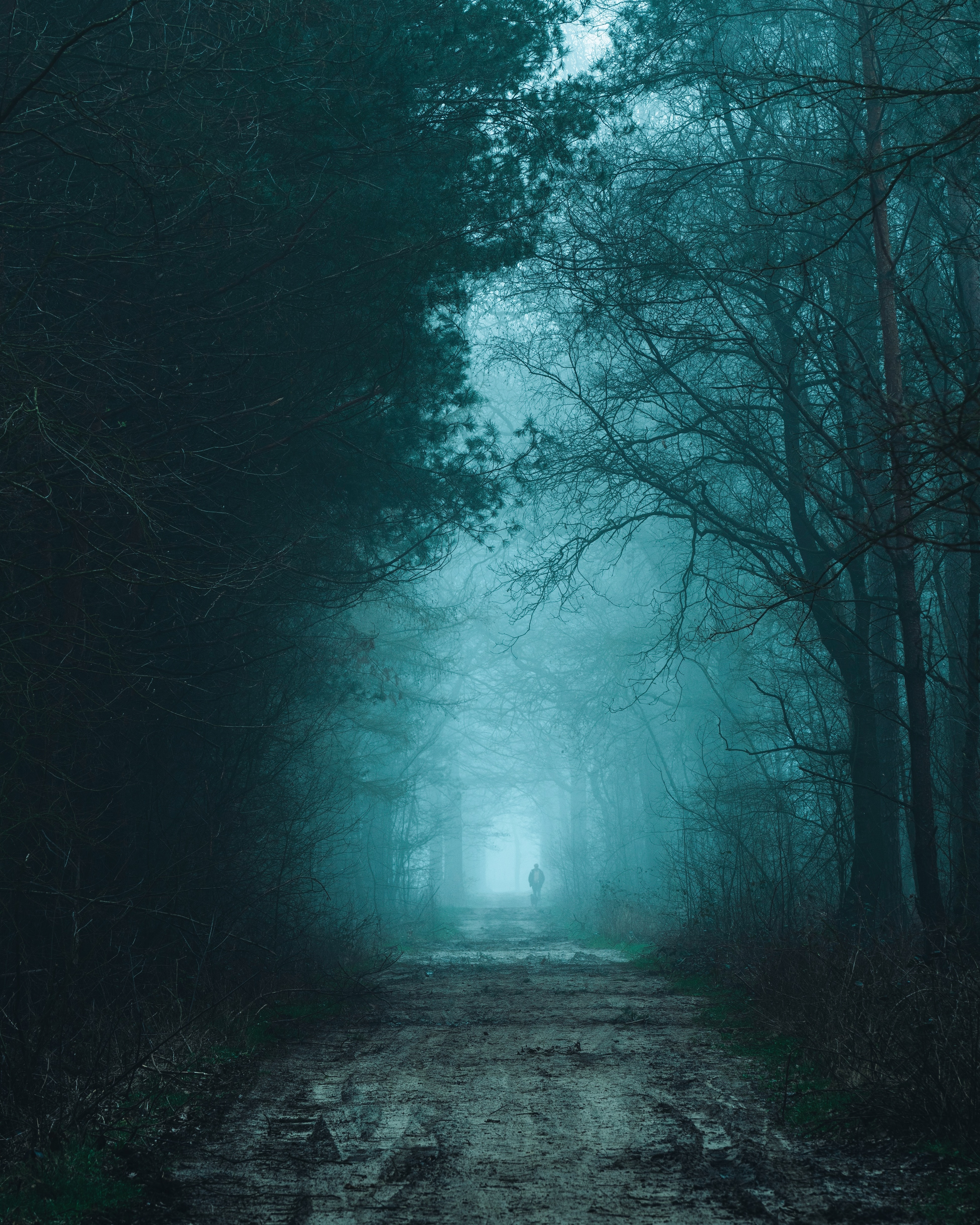 Free download wallpaper Nature, Road, Fog, Forest, Silhouette, Darkness on your PC desktop
