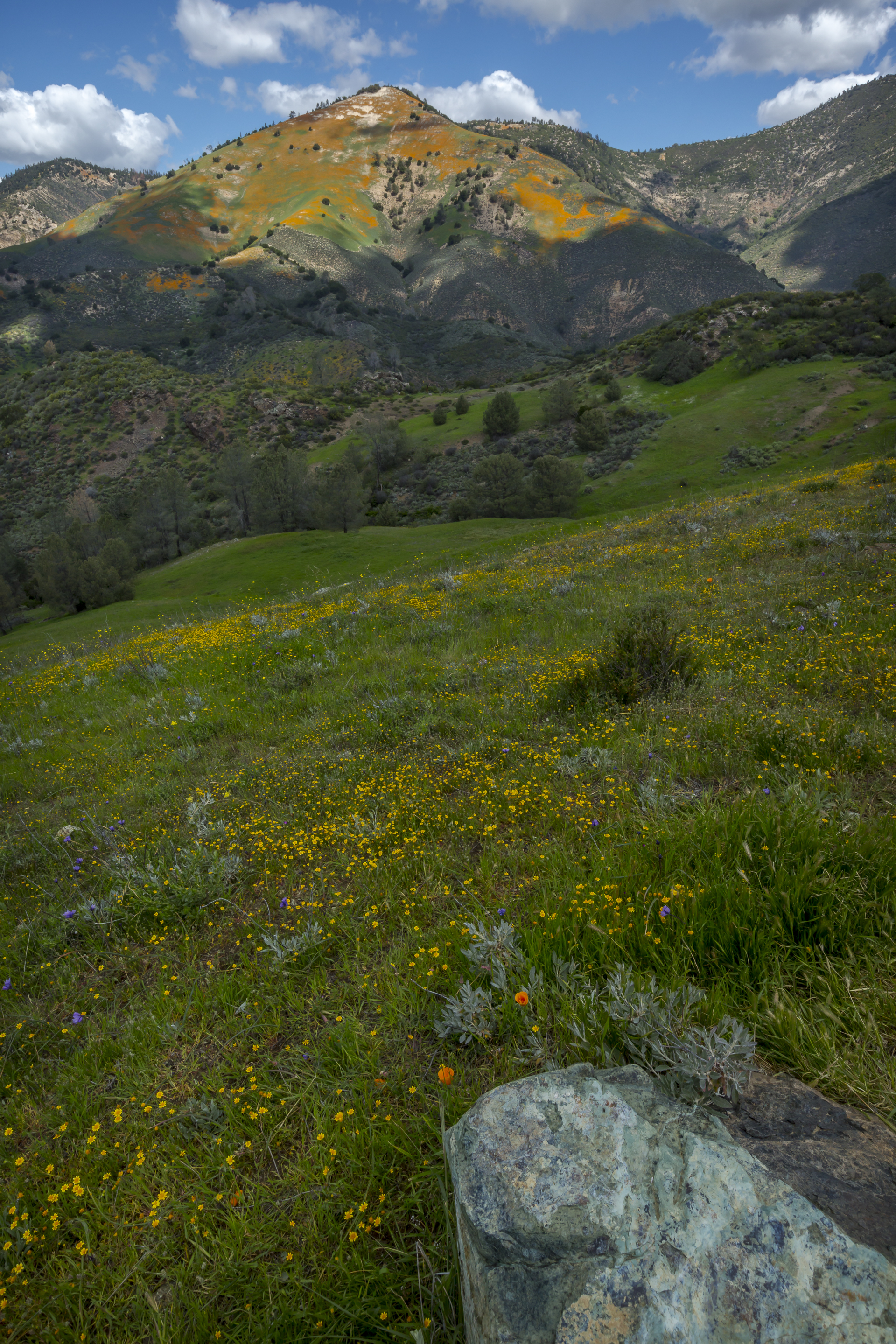 Download mobile wallpaper Grass, Mountains, Hills, Flowers, Landscape, Nature for free.