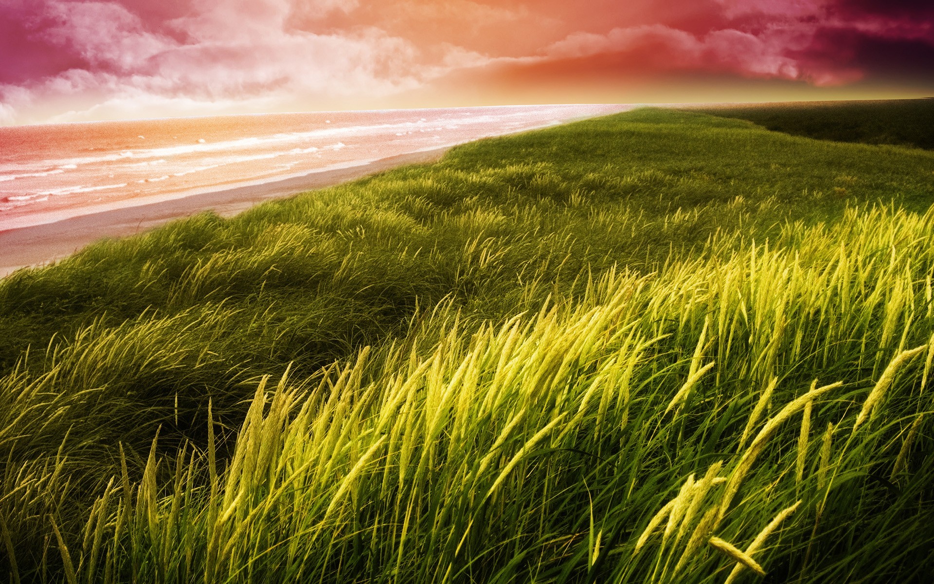 Handy-Wallpaper Landschaft, Grass, Sea kostenlos herunterladen.