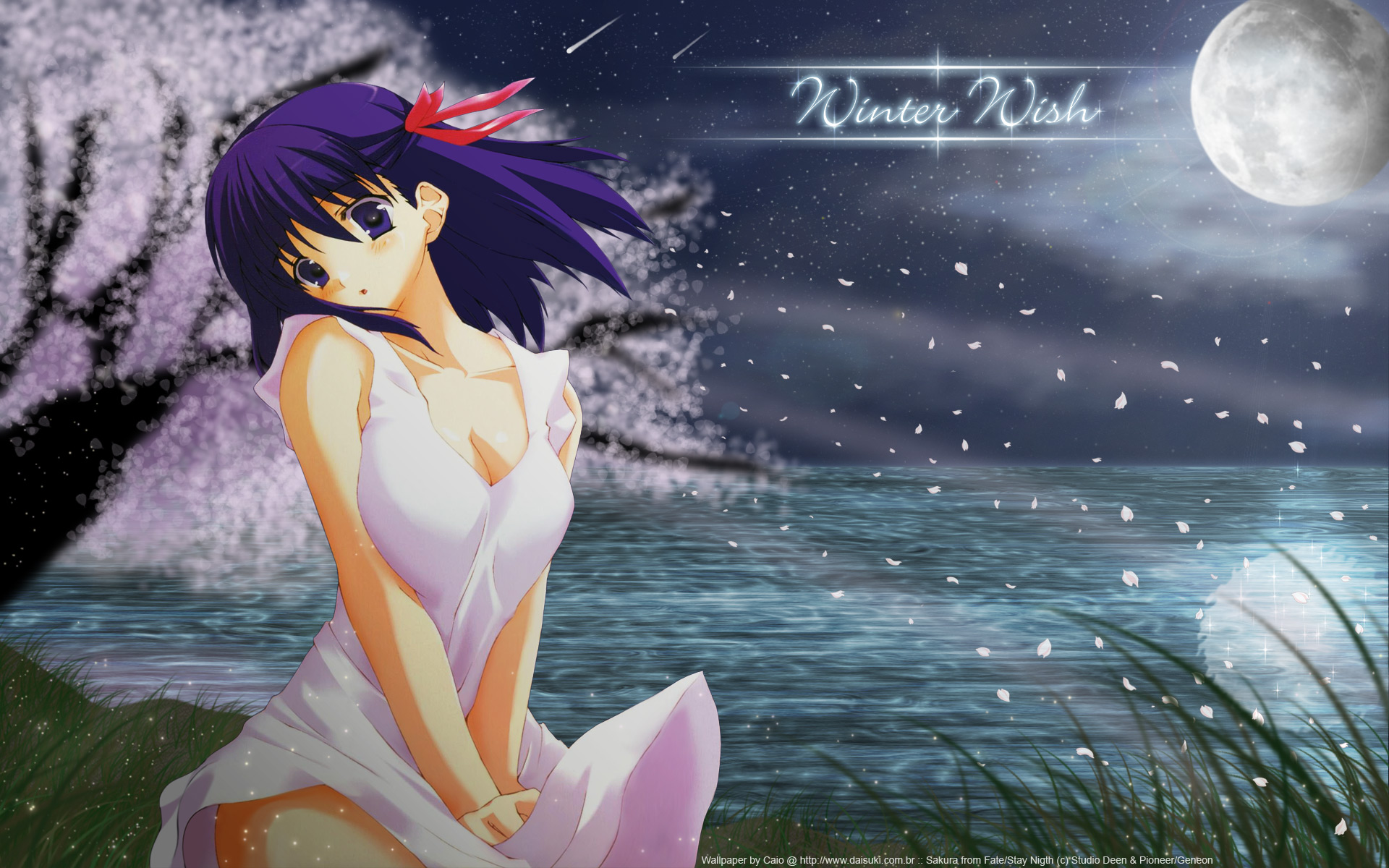Laden Sie das Animes, Fate/stay Night, Sakura Matou, Schicksalsserie-Bild kostenlos auf Ihren PC-Desktop herunter
