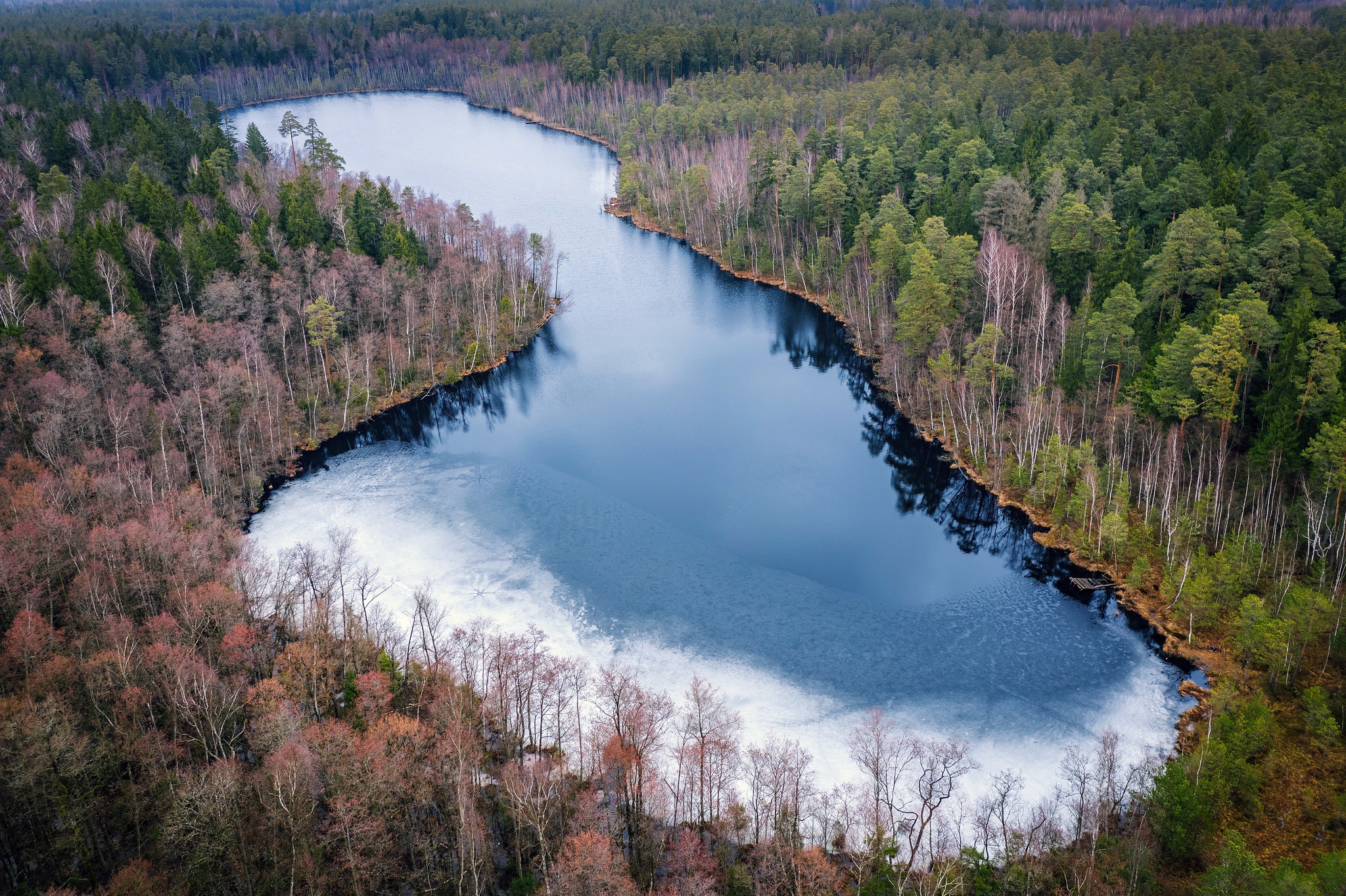 Descarga gratis la imagen Naturaleza, Lagos, Lago, Bosque, Tierra/naturaleza, Fotografía Aérea en el escritorio de tu PC