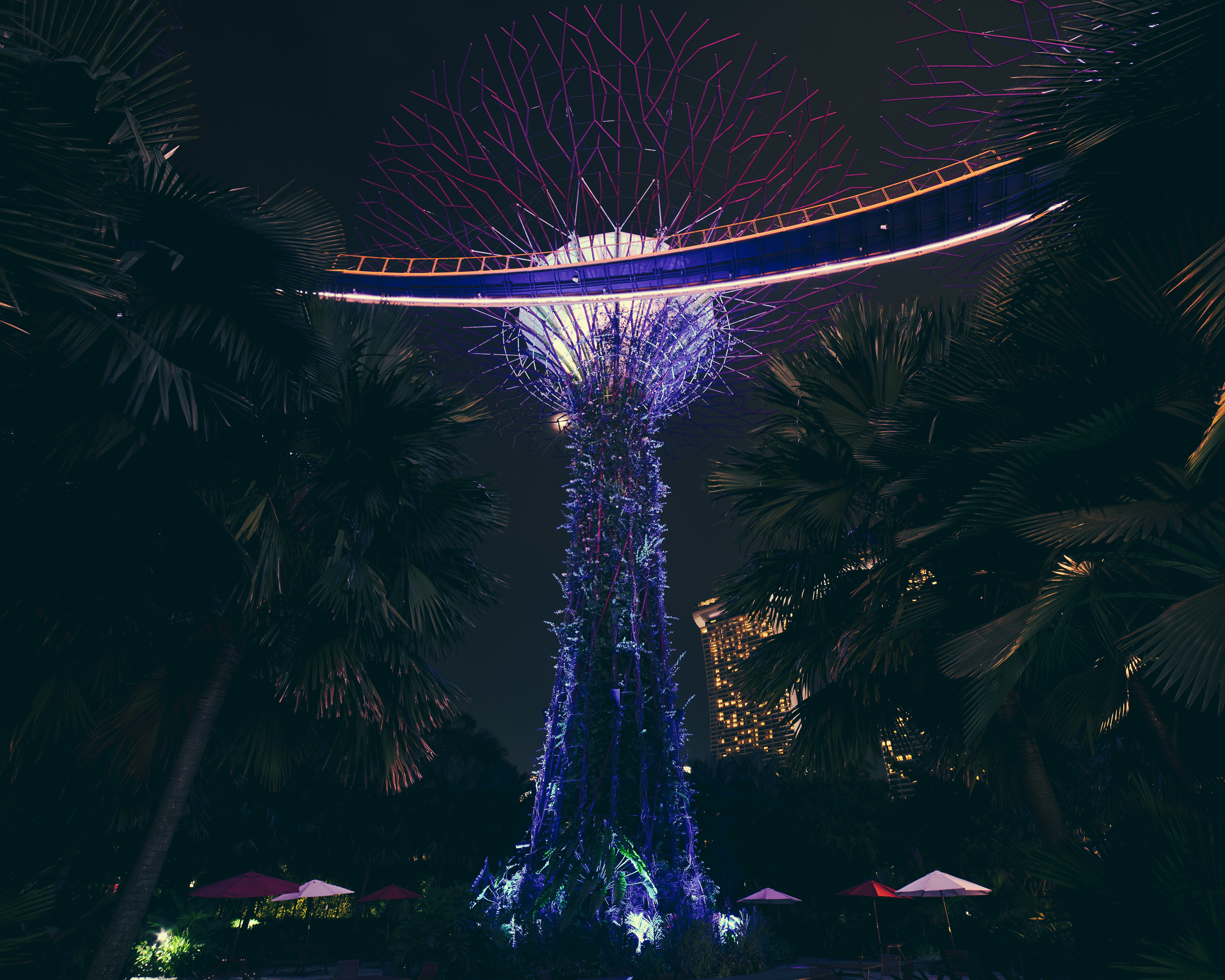 Descarga gratuita de fondo de pantalla para móvil de El Parque, Decoración, Paisajismo, Diseño De Exteriores, Singapur, Ciudades, Parque, Palms.