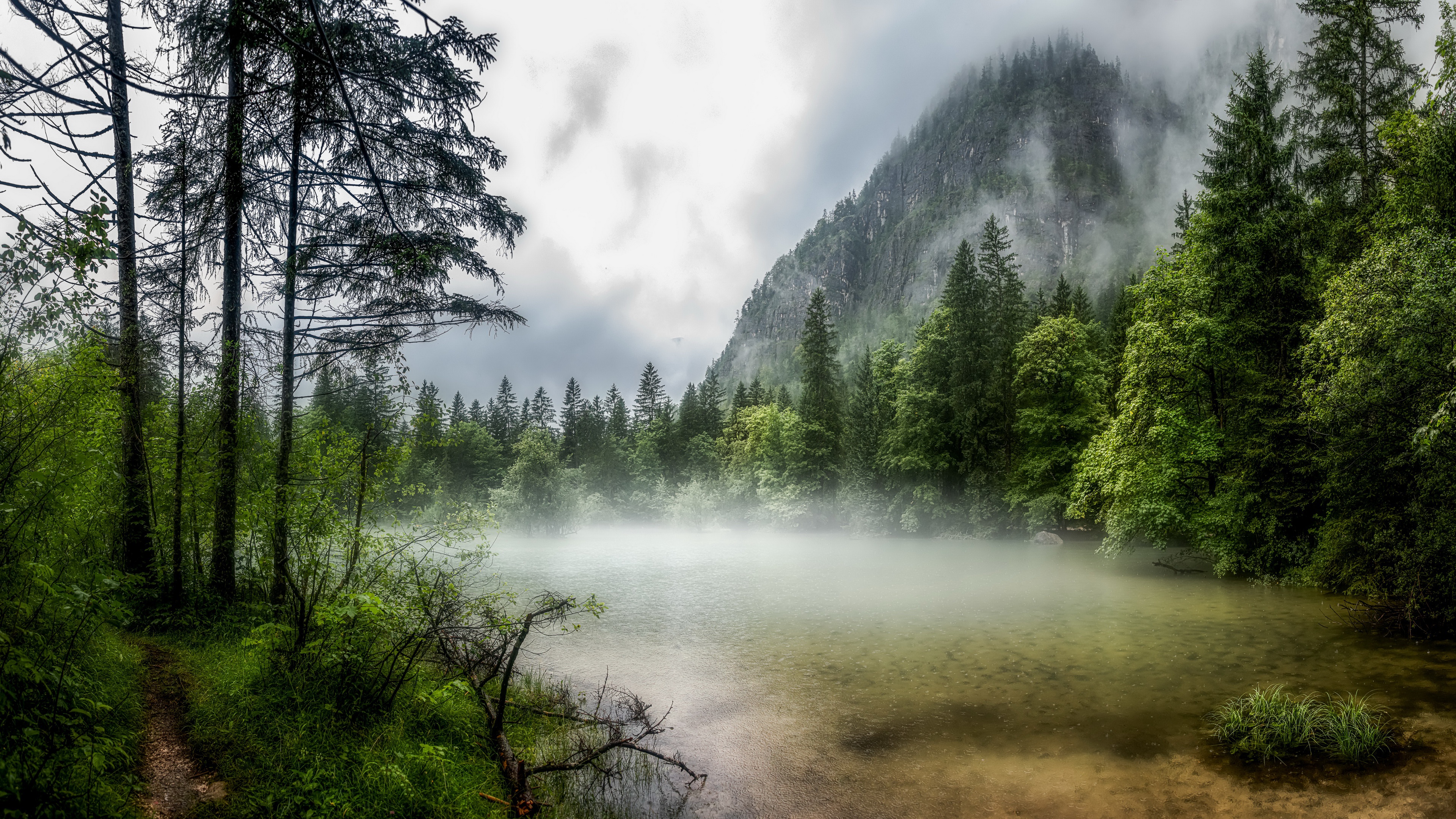 Free download wallpaper Lake, Forest, Fog, Austria, Earth on your PC desktop