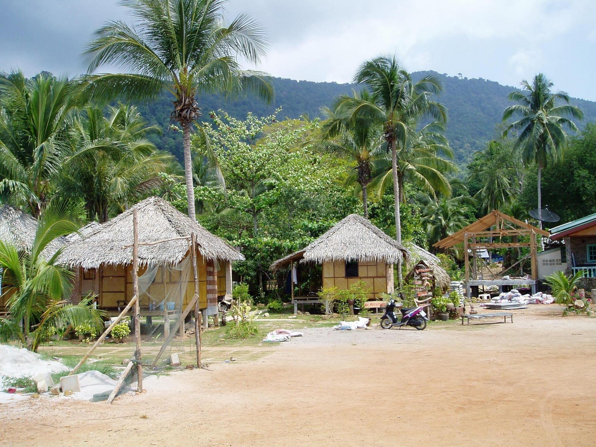 nature, shore, beach, palms, bank, huts, moped