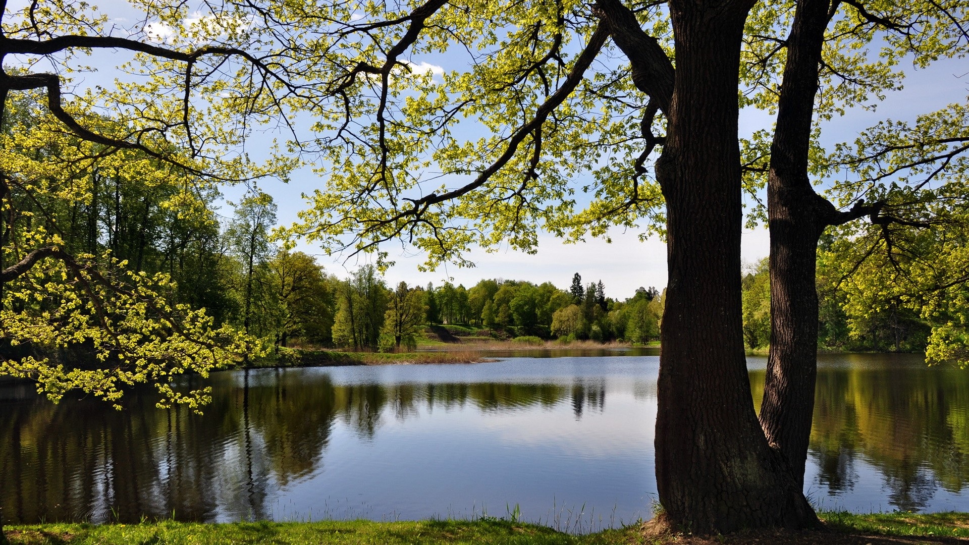 Handy-Wallpaper Landschaft, Erde/natur kostenlos herunterladen.