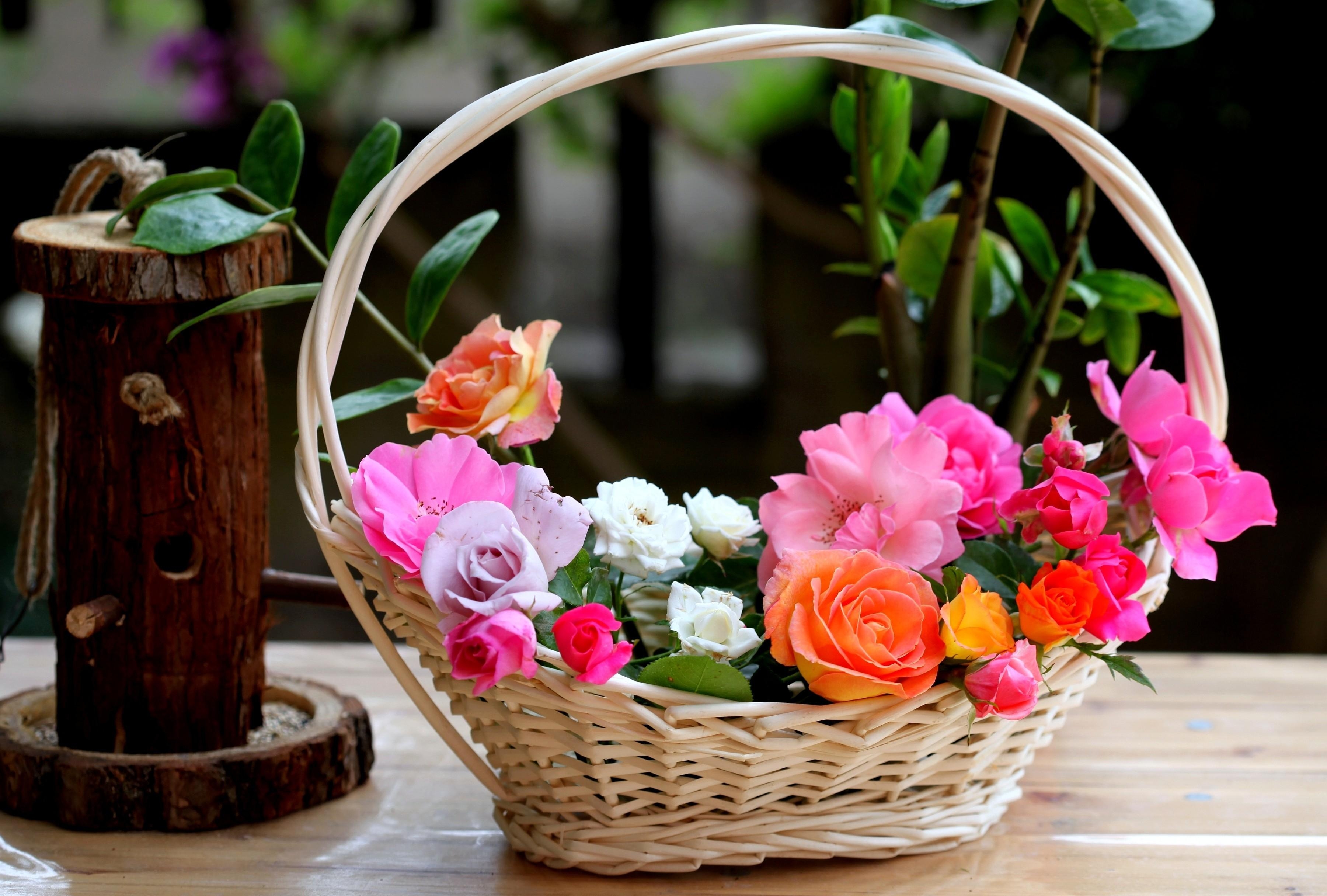 Téléchargez gratuitement l'image Panier, Composition, Fleurs, Roses, Jardin sur le bureau de votre PC