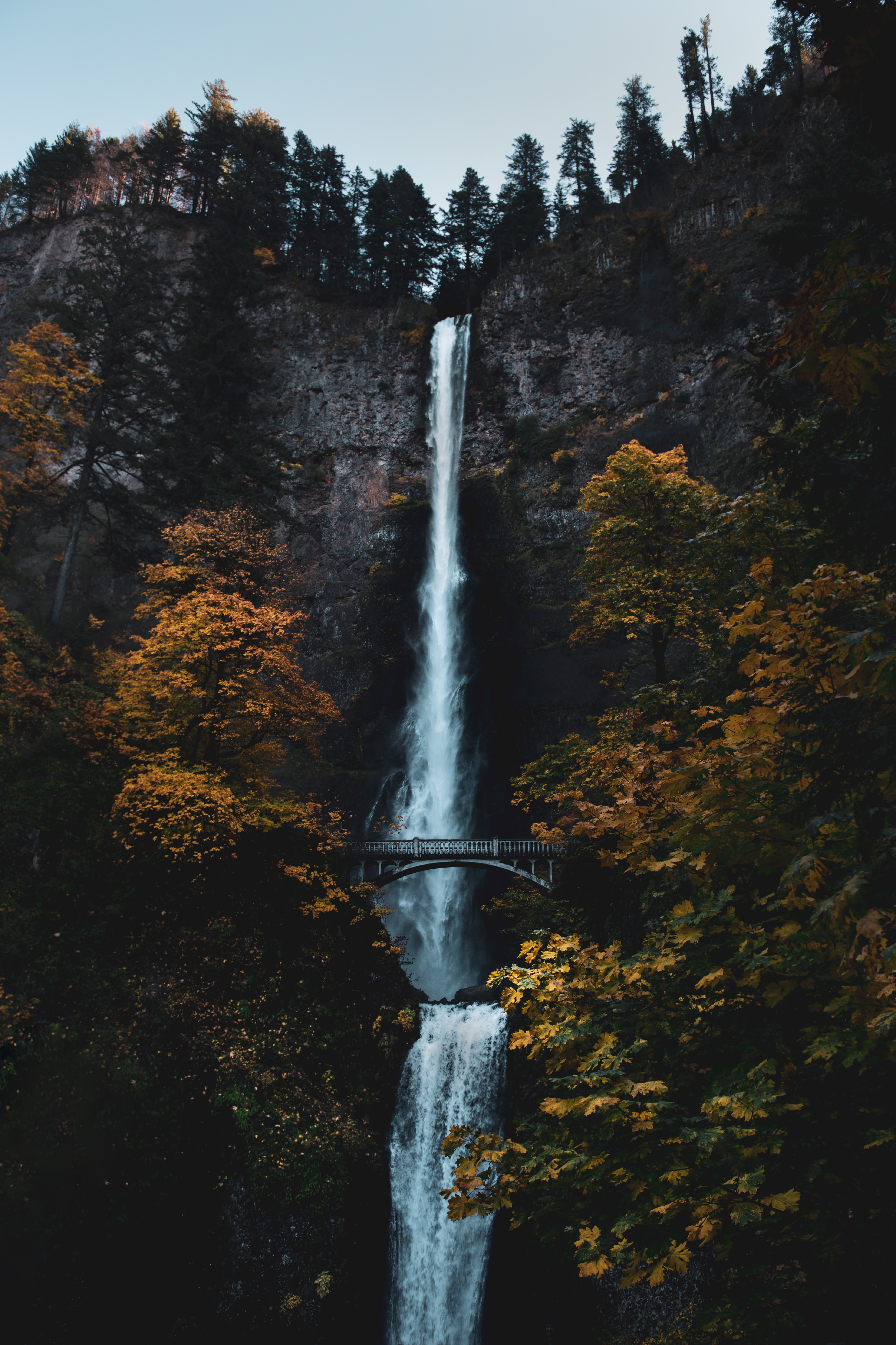 nature, waterfall, trees, rock, break, precipice, bridge HD wallpaper