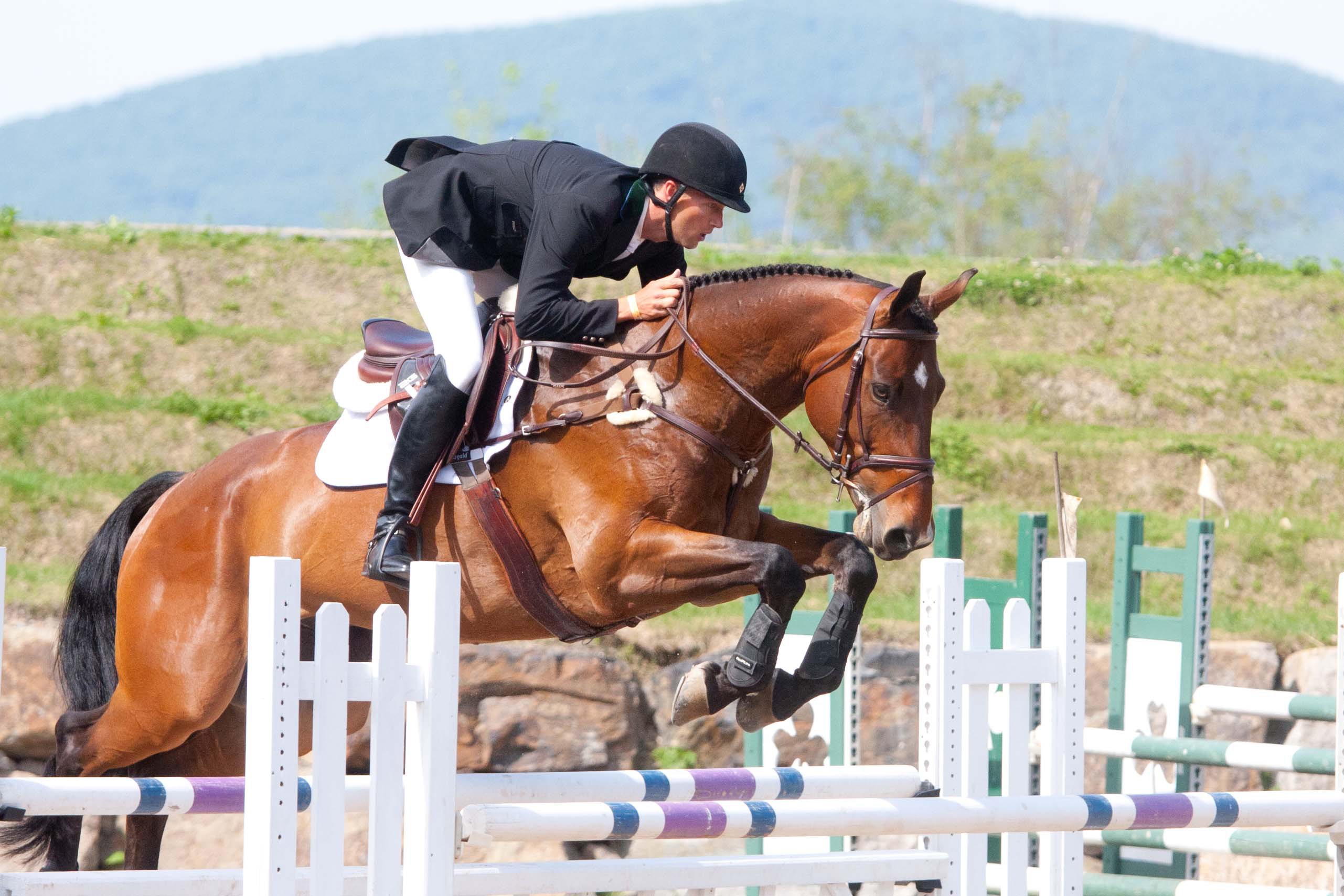 sports, show jumping