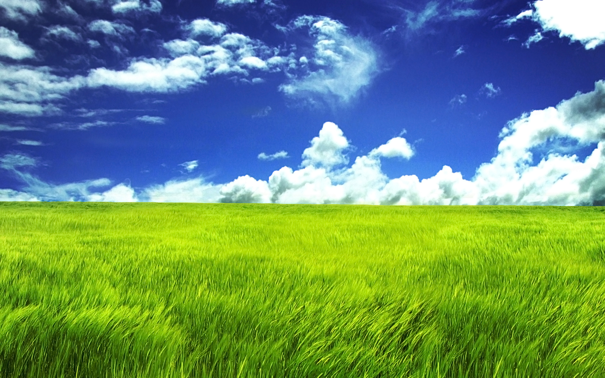 158361 descargar fondo de pantalla hierba, tierra/naturaleza: protectores de pantalla e imágenes gratis