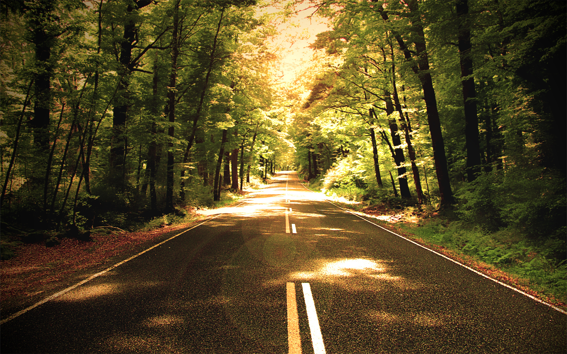 Download mobile wallpaper Nature, Road, Forest, Sunny, Man Made for free.